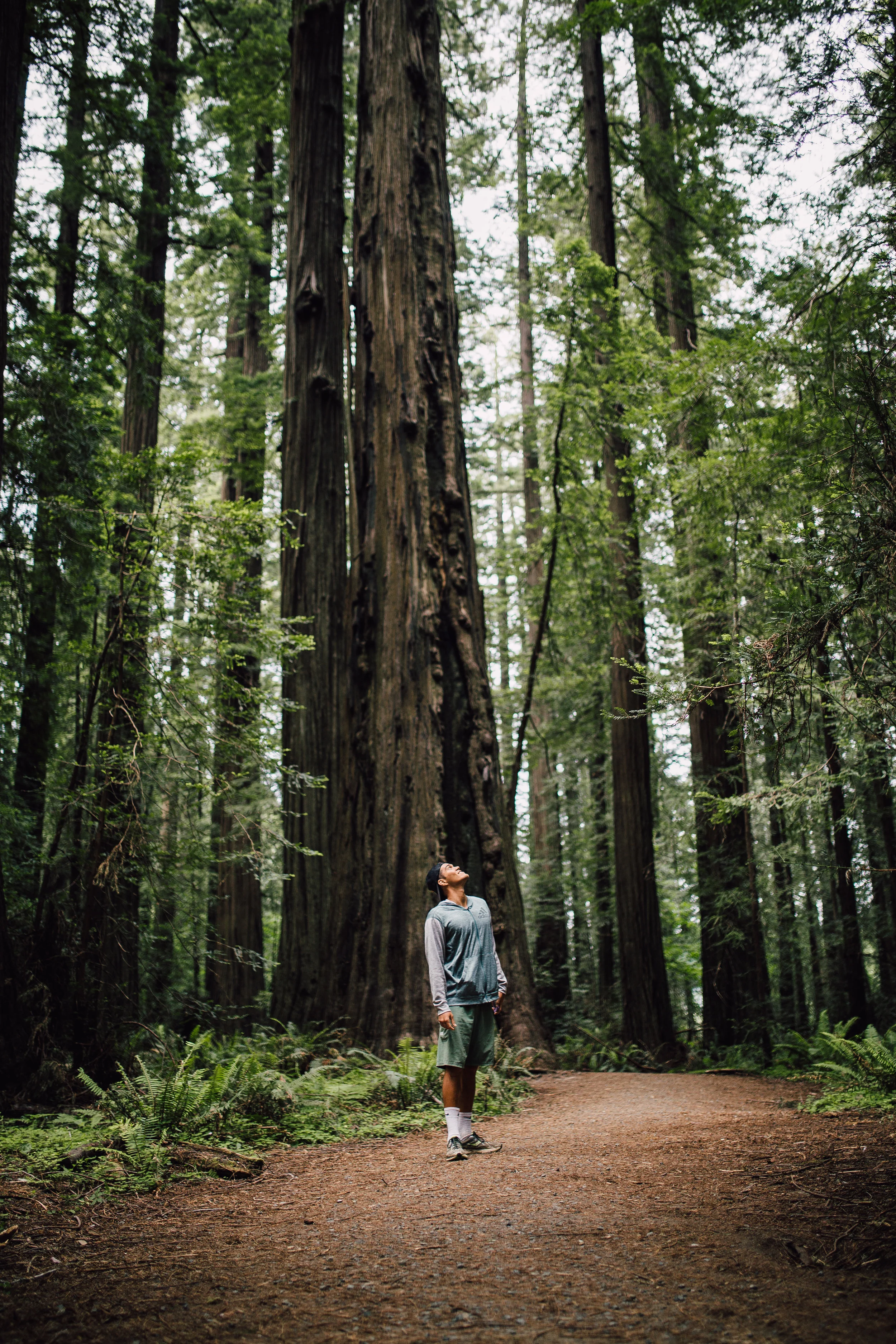 giants-8.jpg