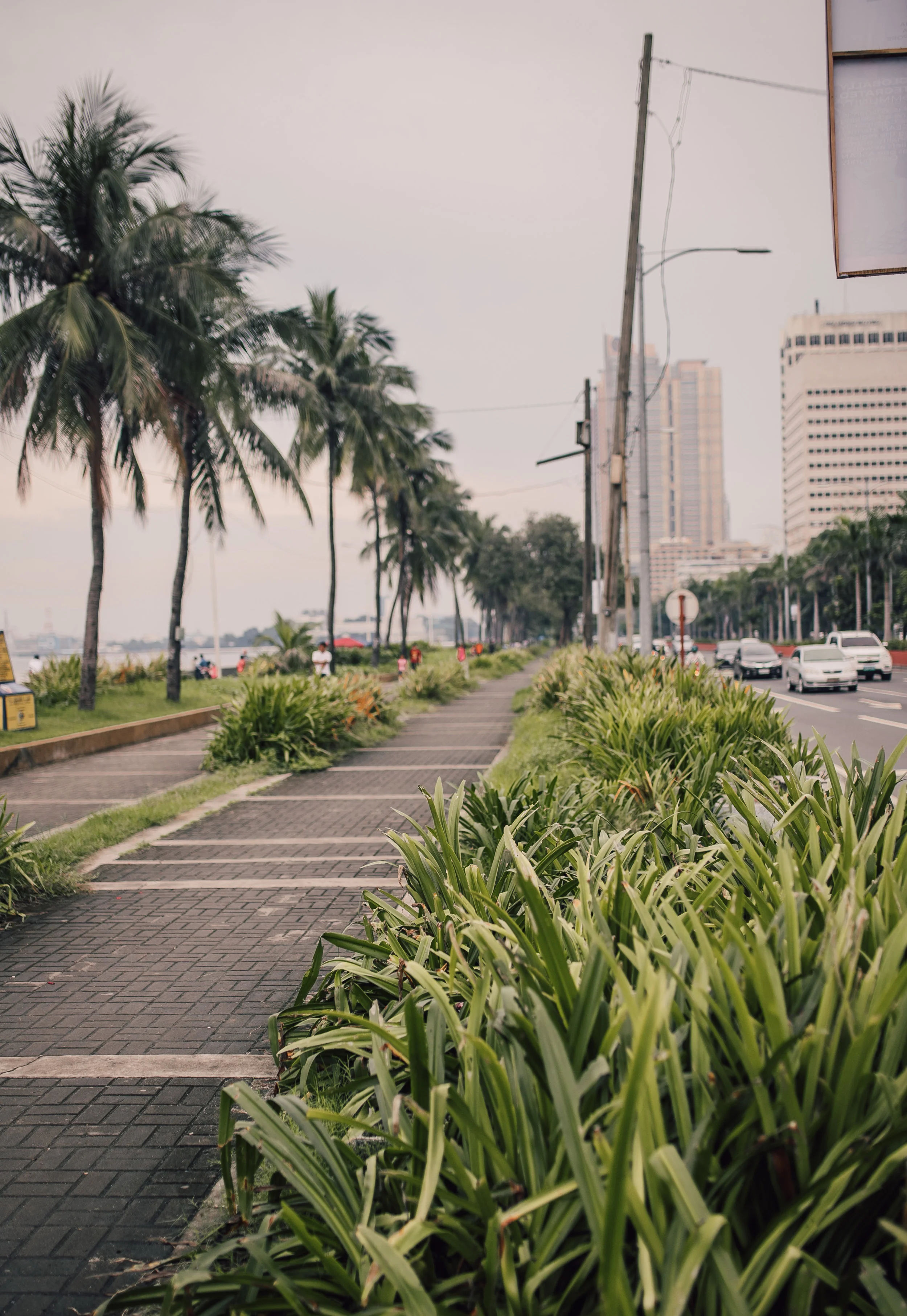 manila-3.jpg