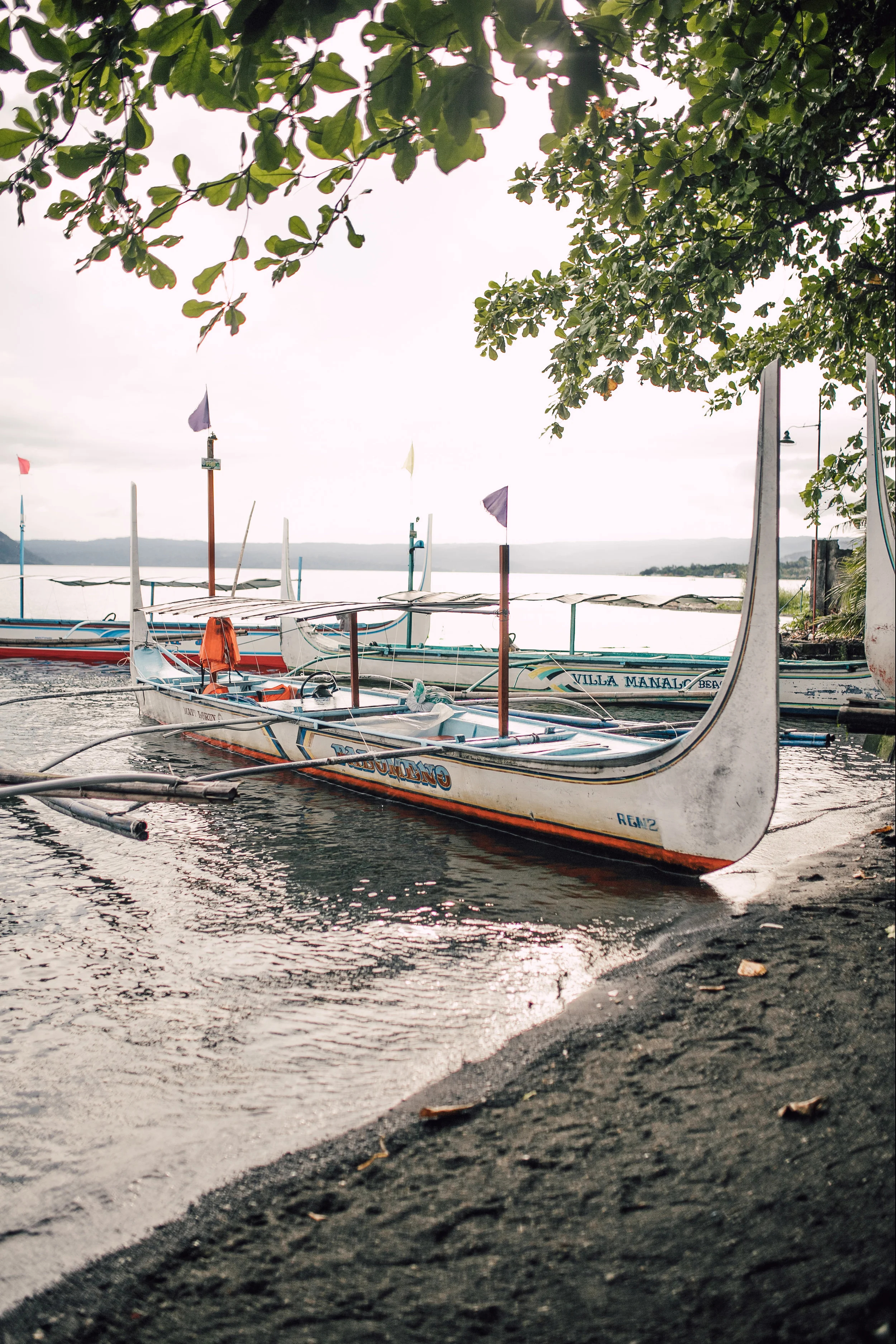 taal-50.jpg