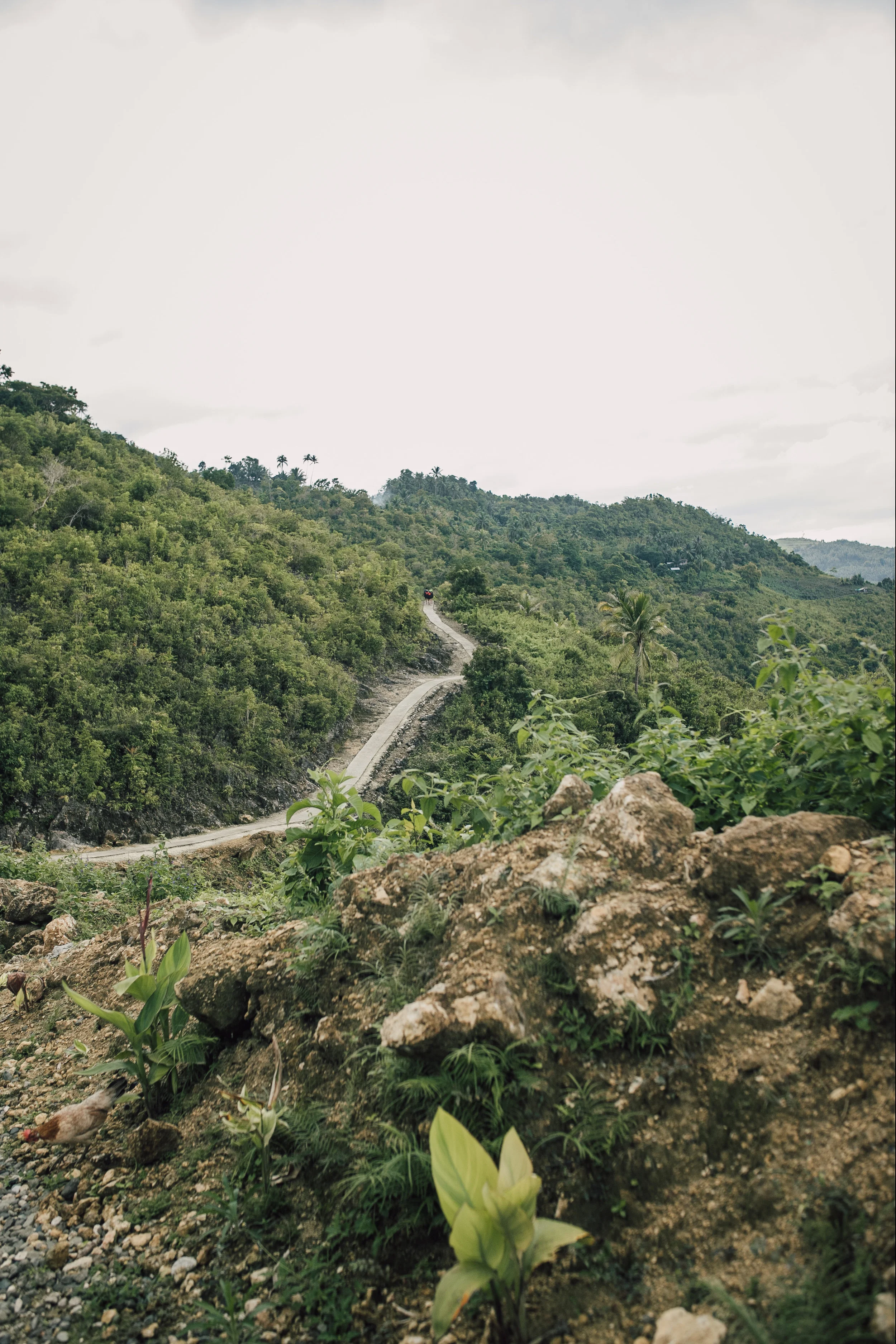 kawasanfalls-8.jpg