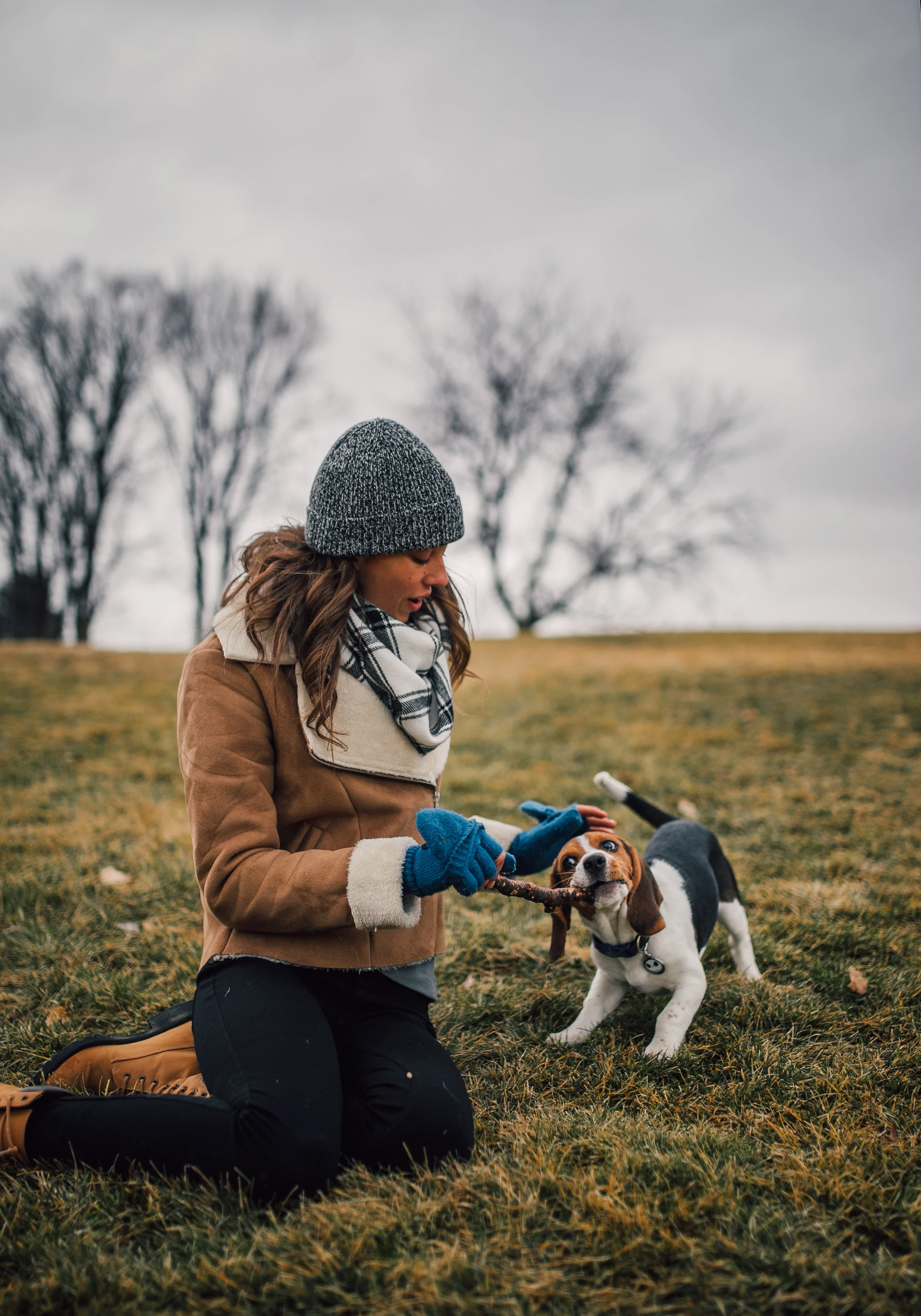 SHAKO_thepup-76.jpg