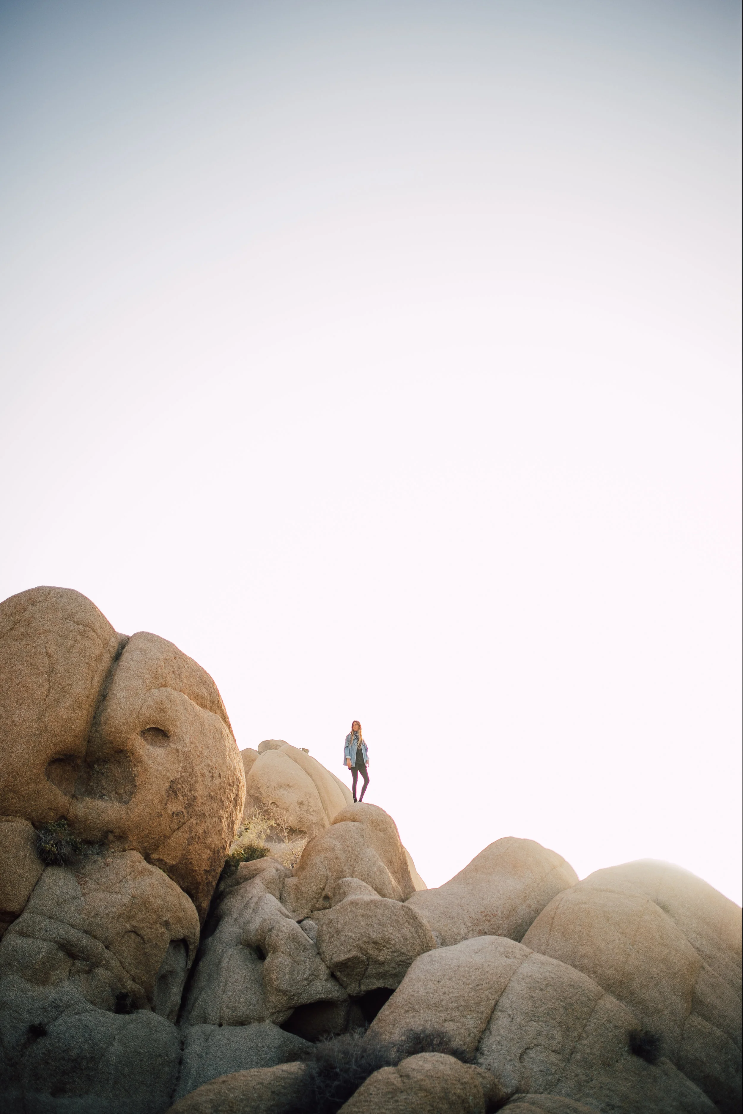 JoshuaTree-60.jpg