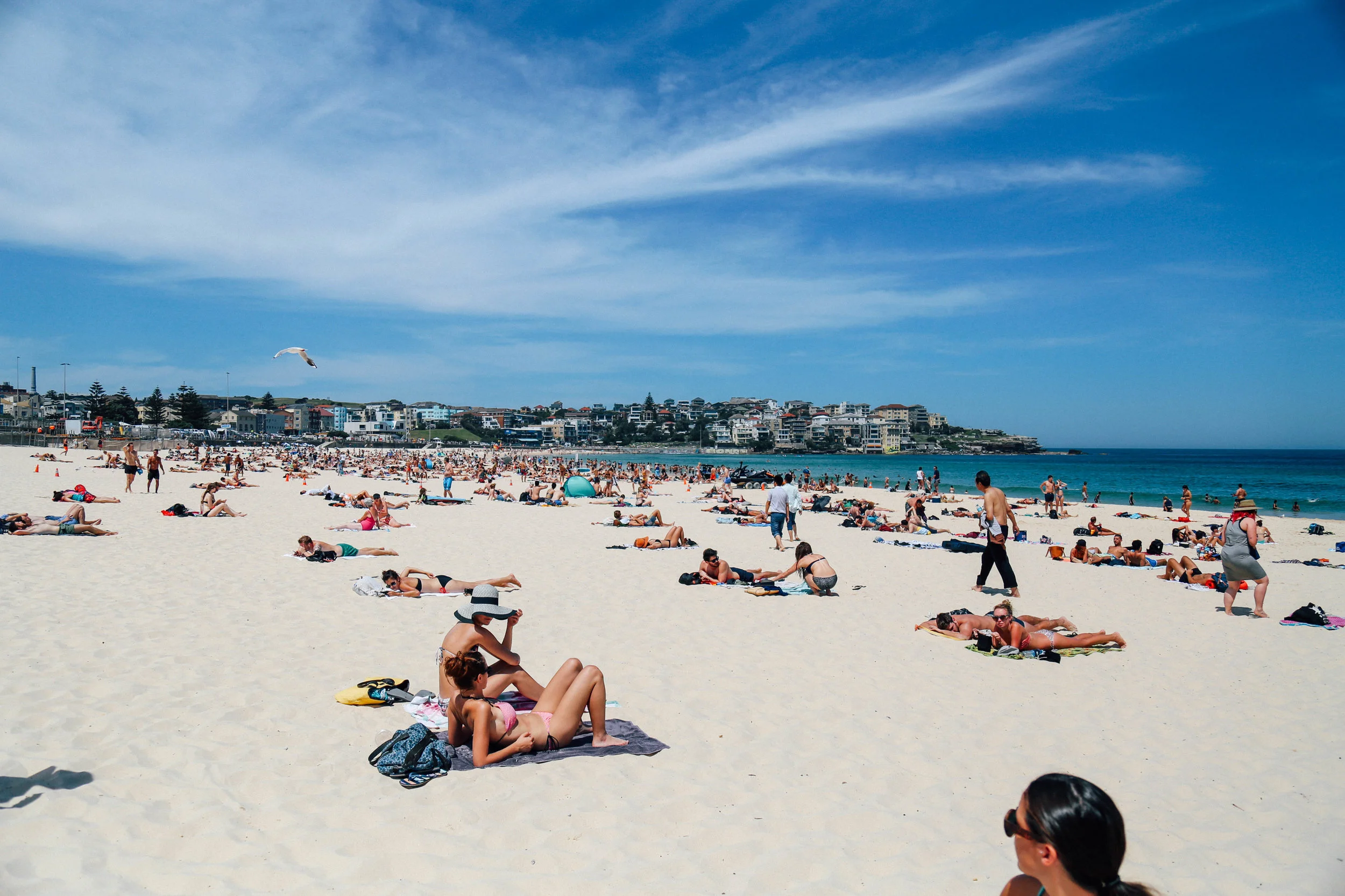 sydney-162.jpg
