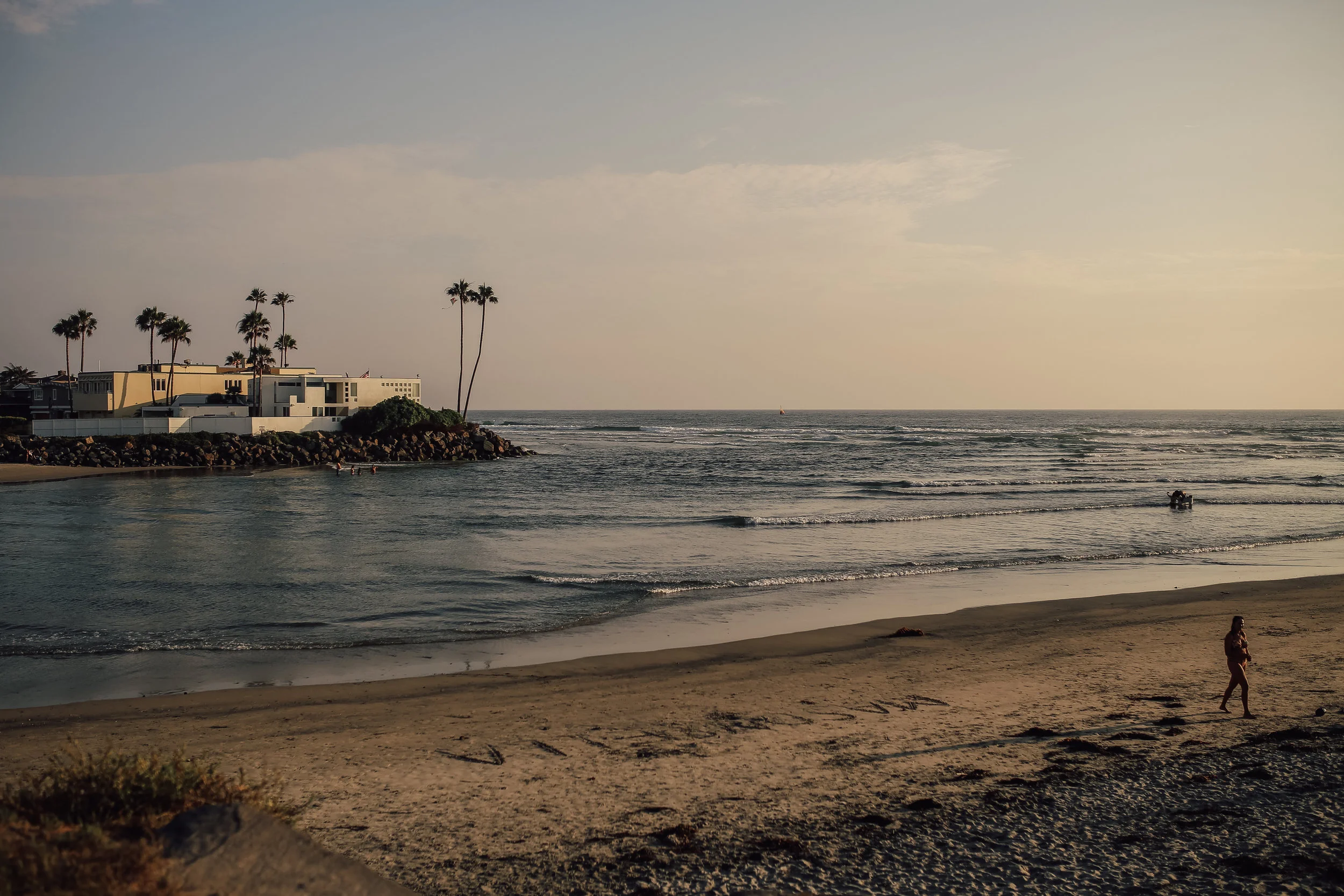 delmardogbeach-21.jpg