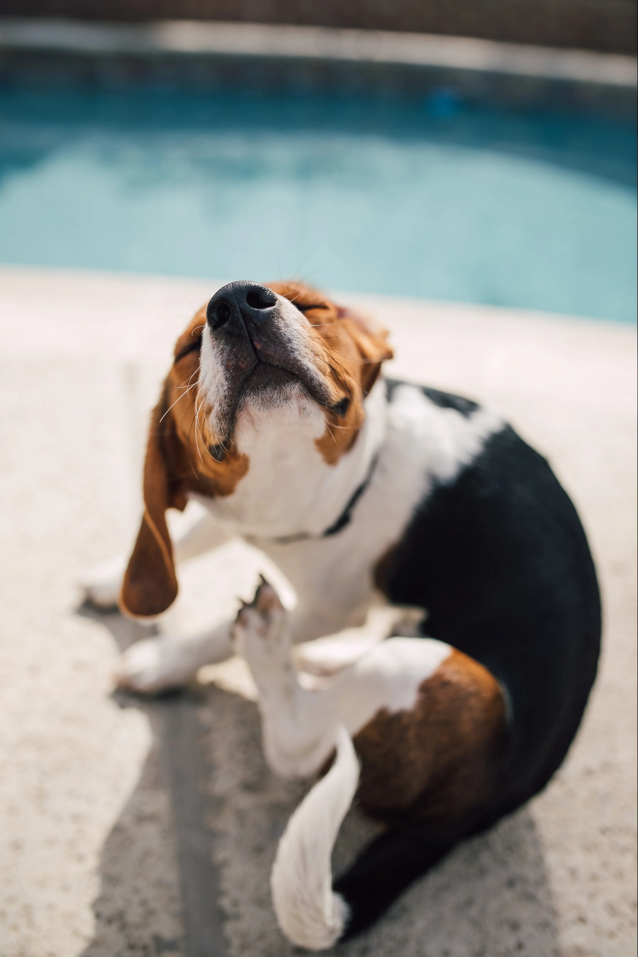 BestBuds-3.jpg