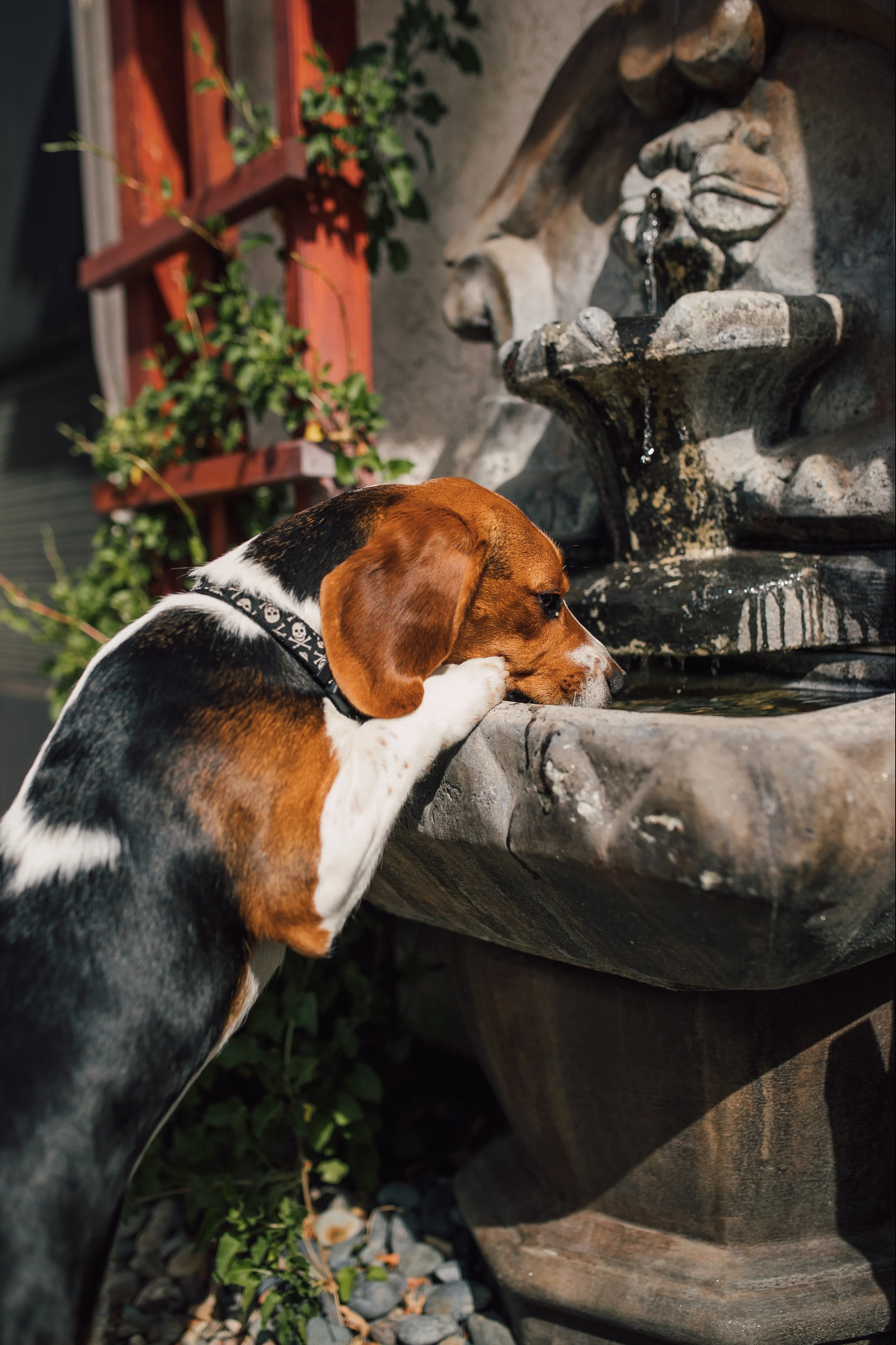 BestBuds-5.jpg