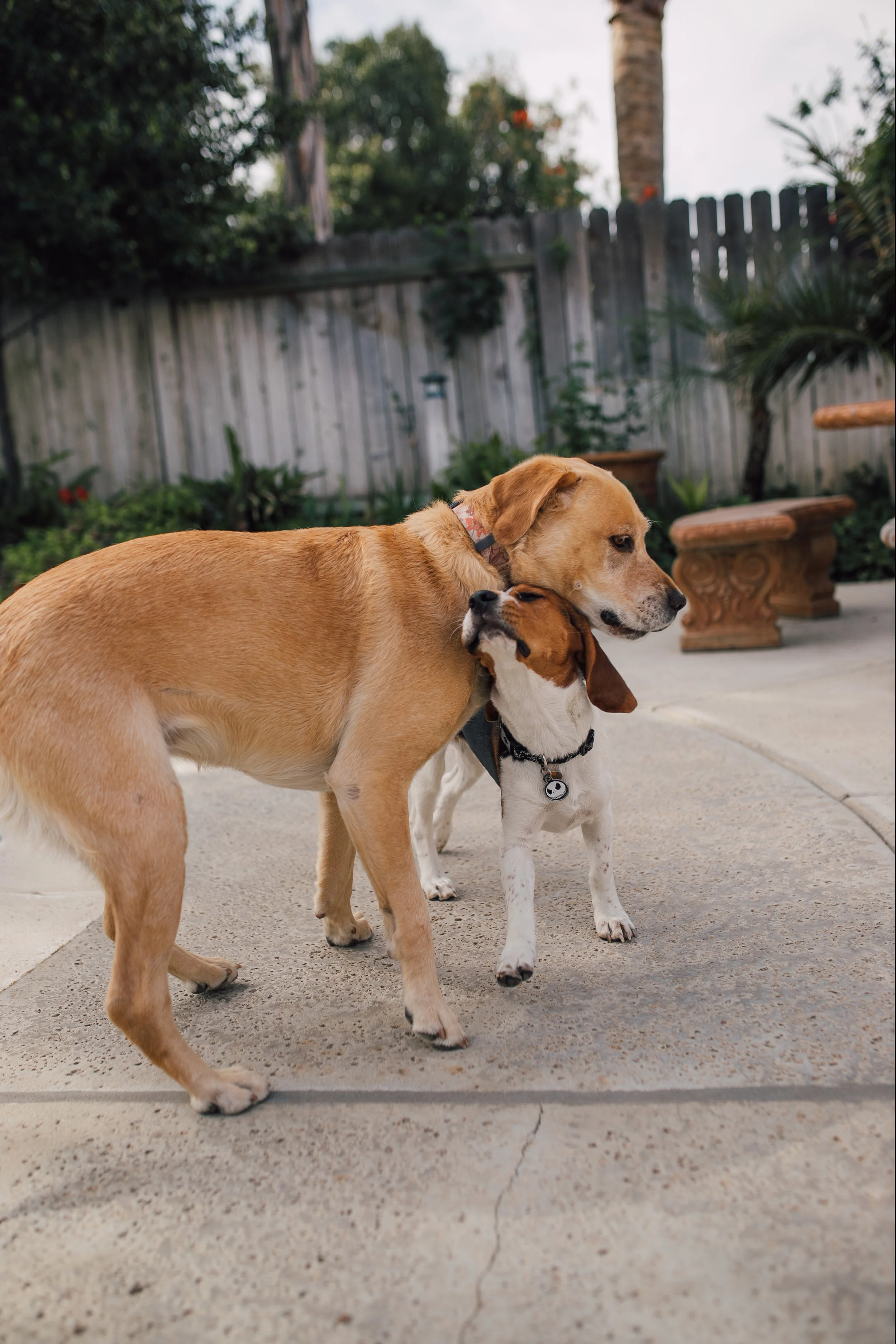 BestBuds-12.jpg
