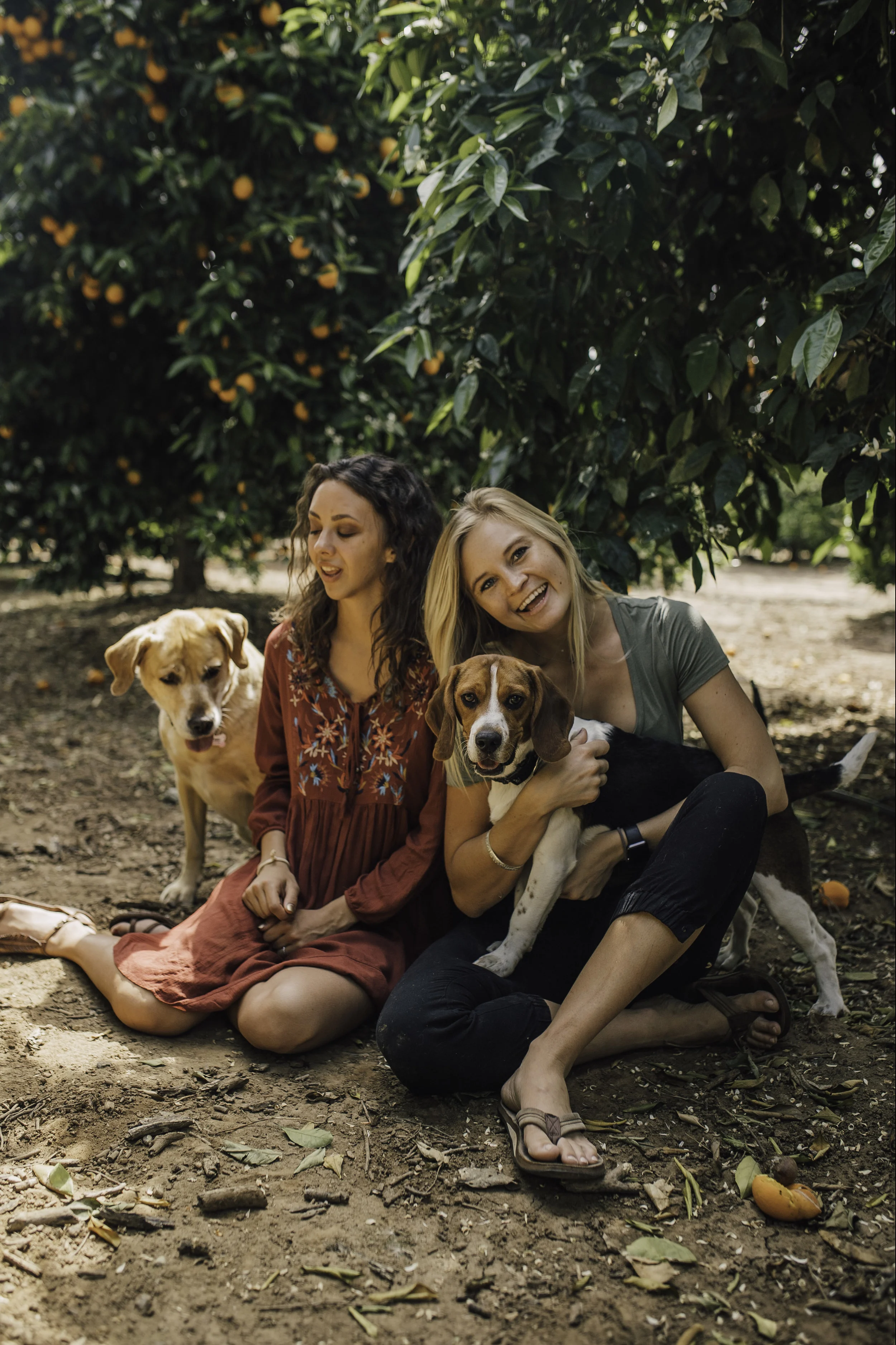 OrangeGroves_pups-2.jpg