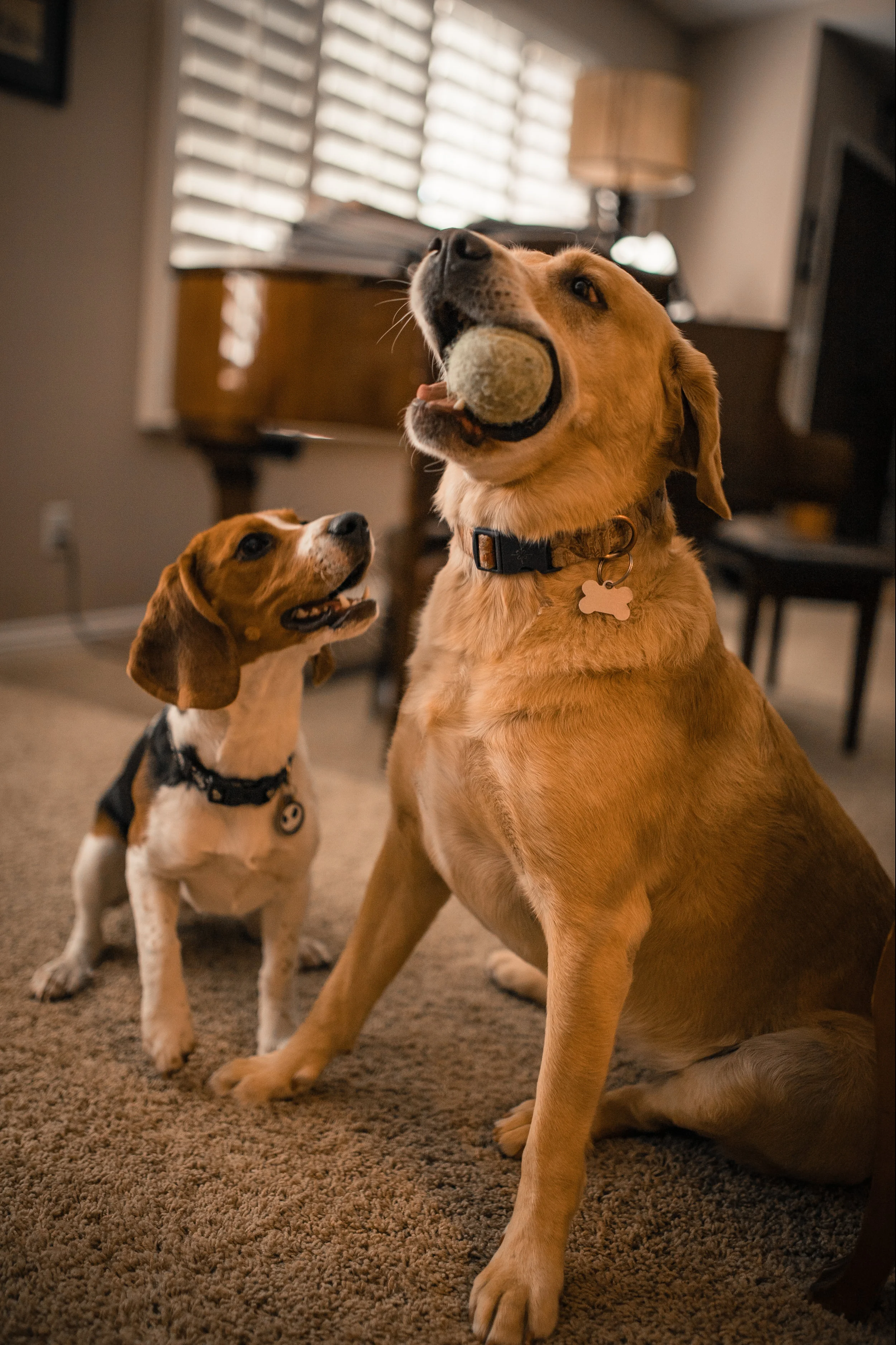 shako&kona-15.jpg