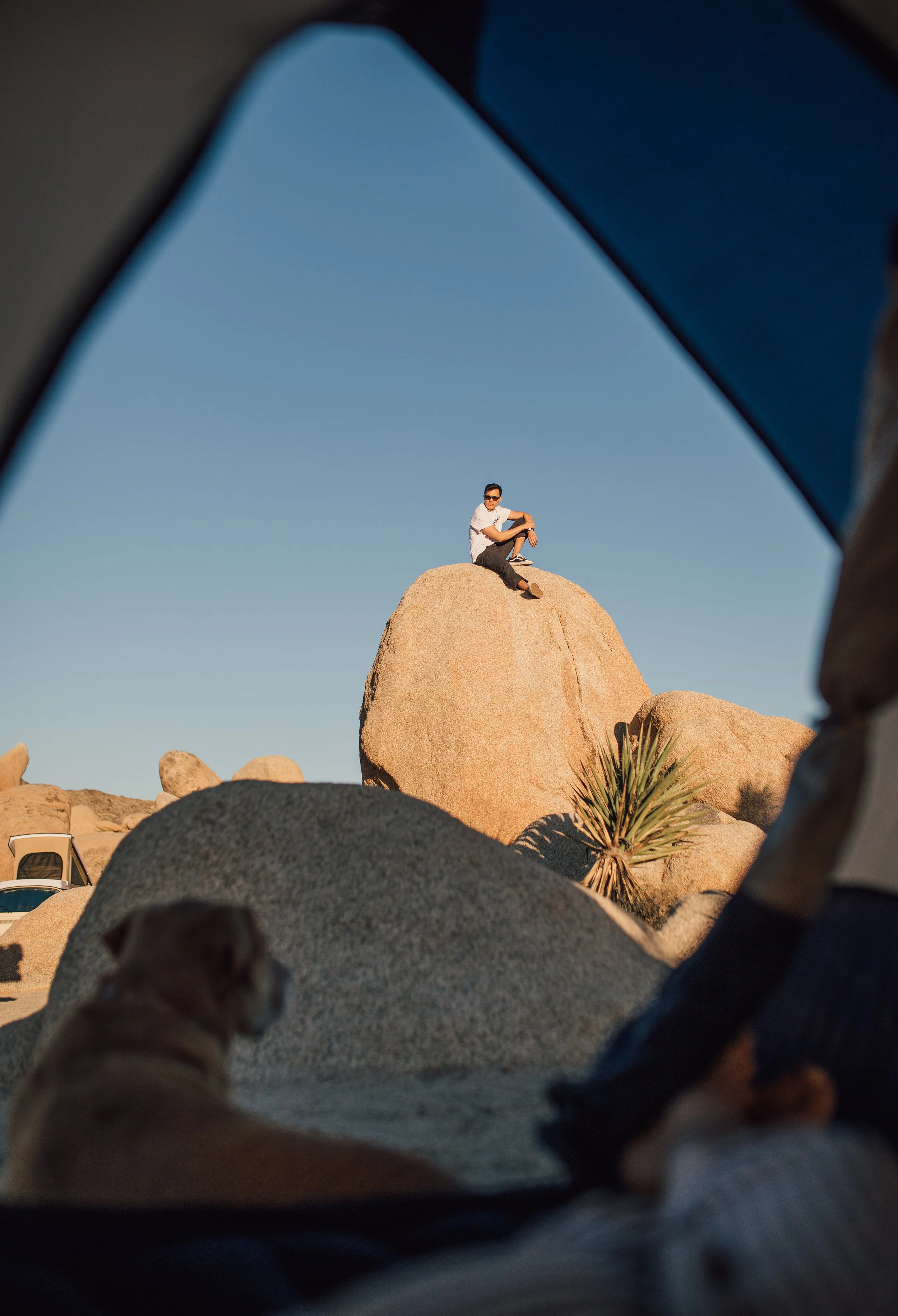 JoshuaTree-1.jpg