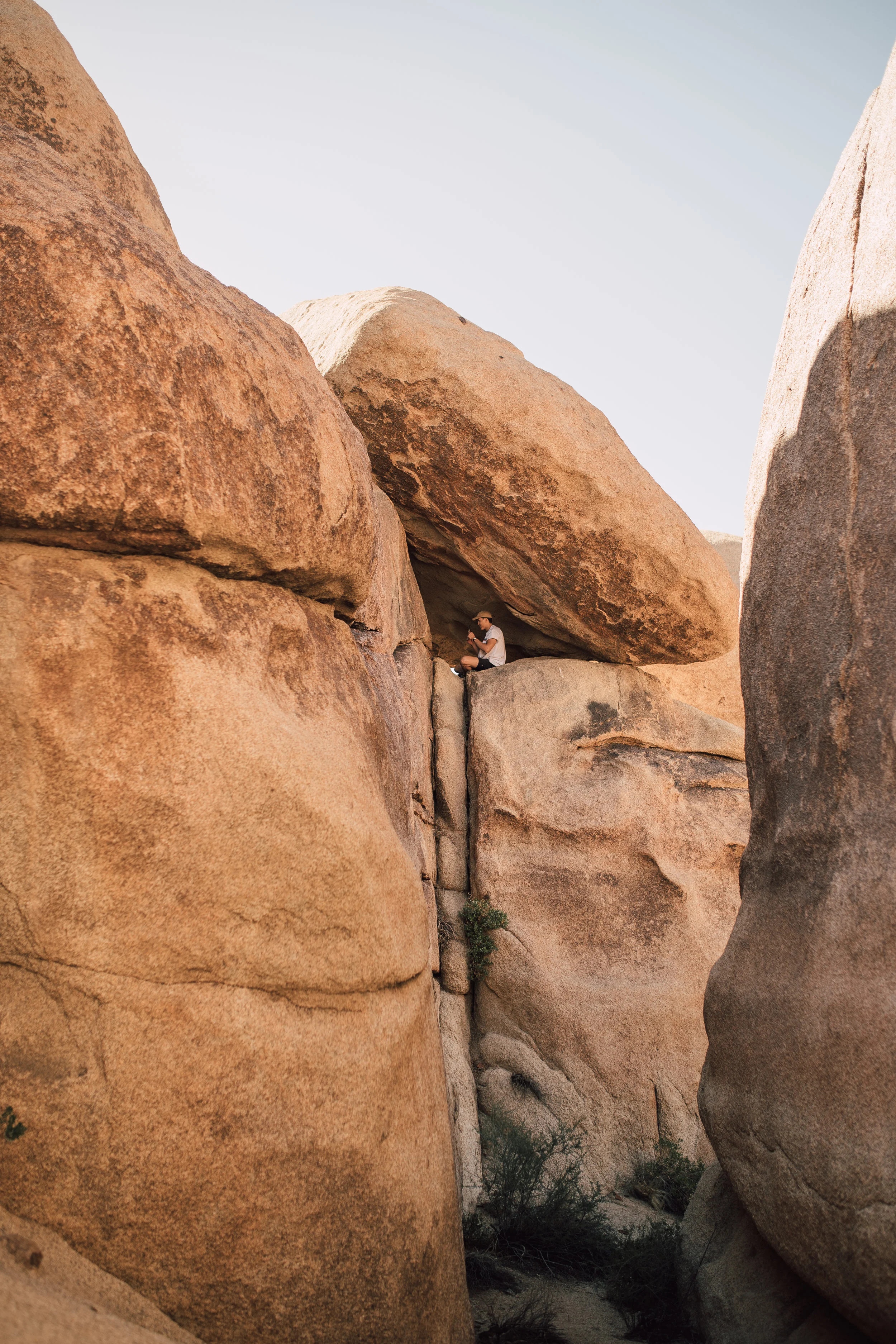 JoshuaTree-26.jpg