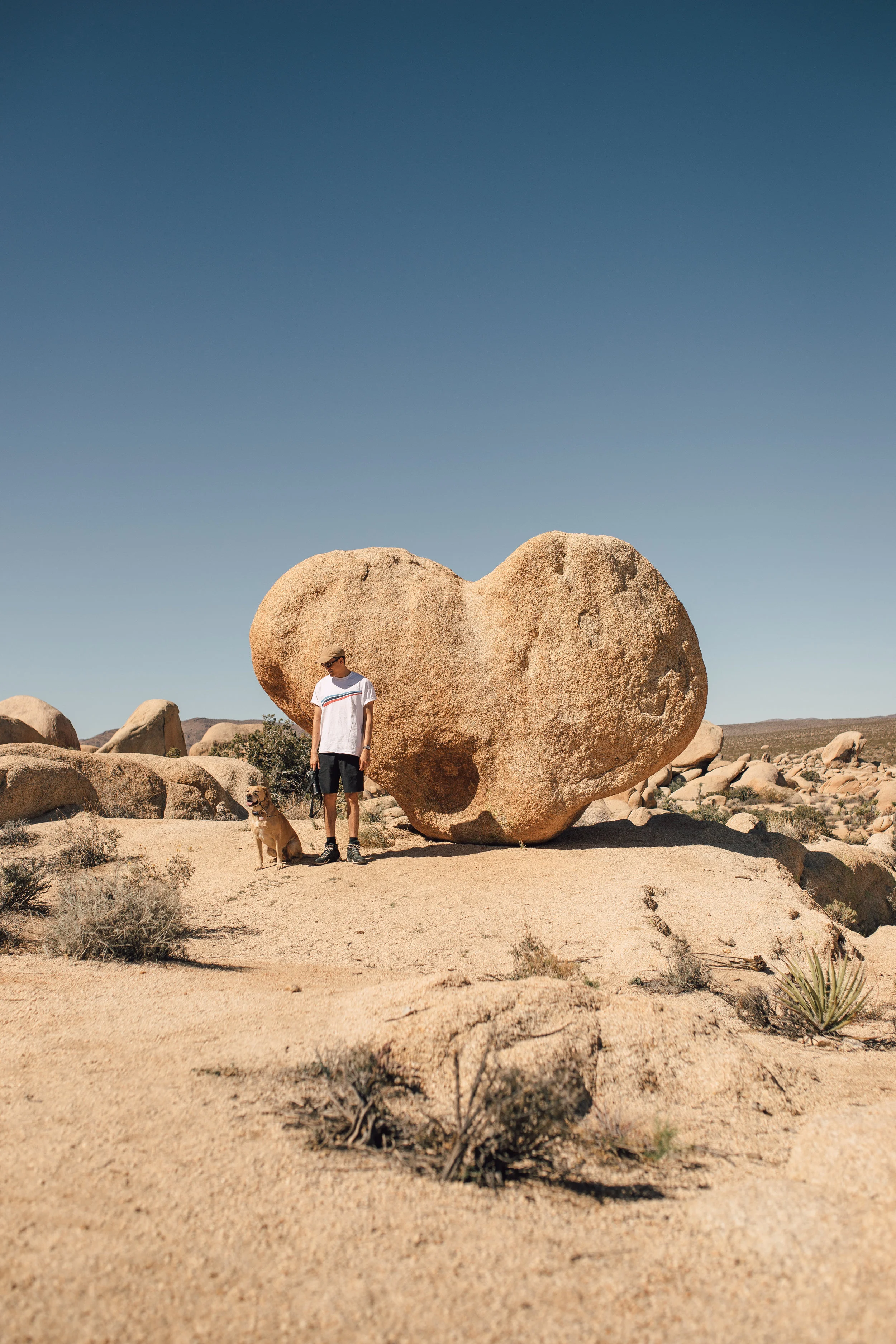 JoshuaTree-35.jpg