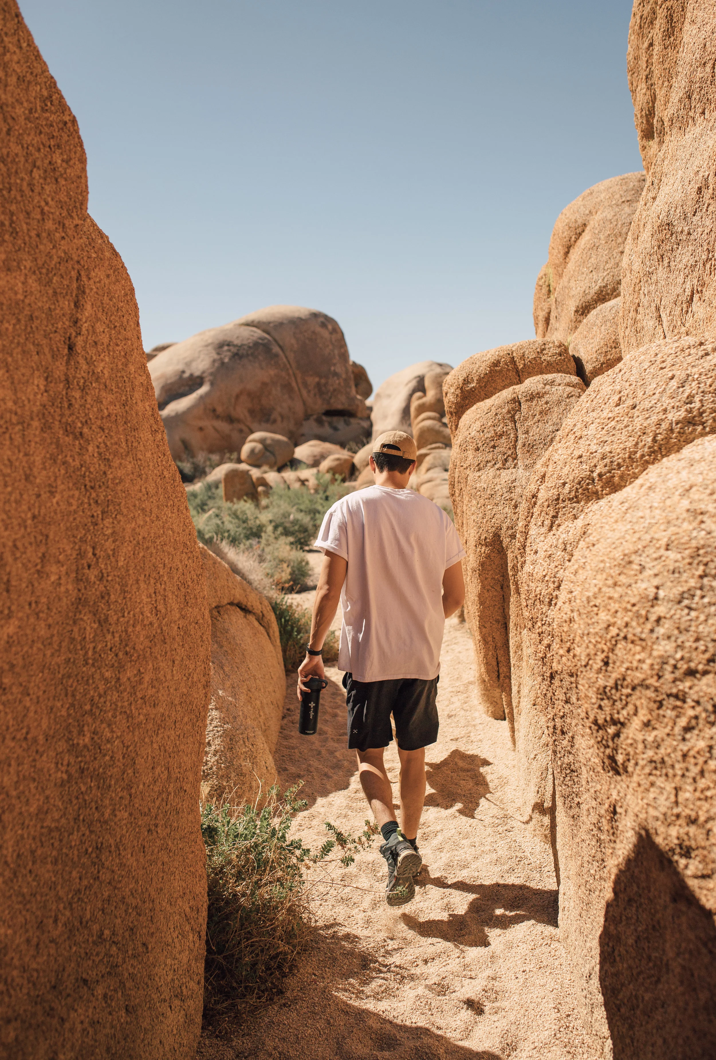 JoshuaTree-36.jpg