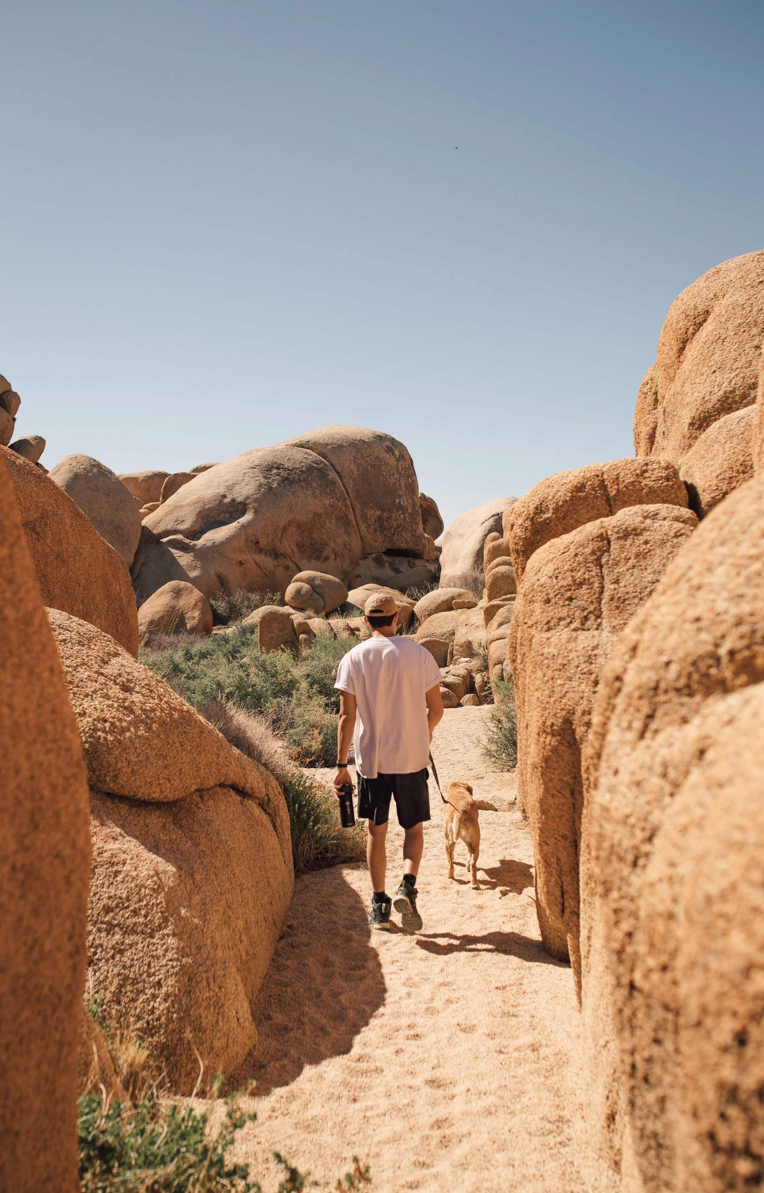 JoshuaTree-37.jpg