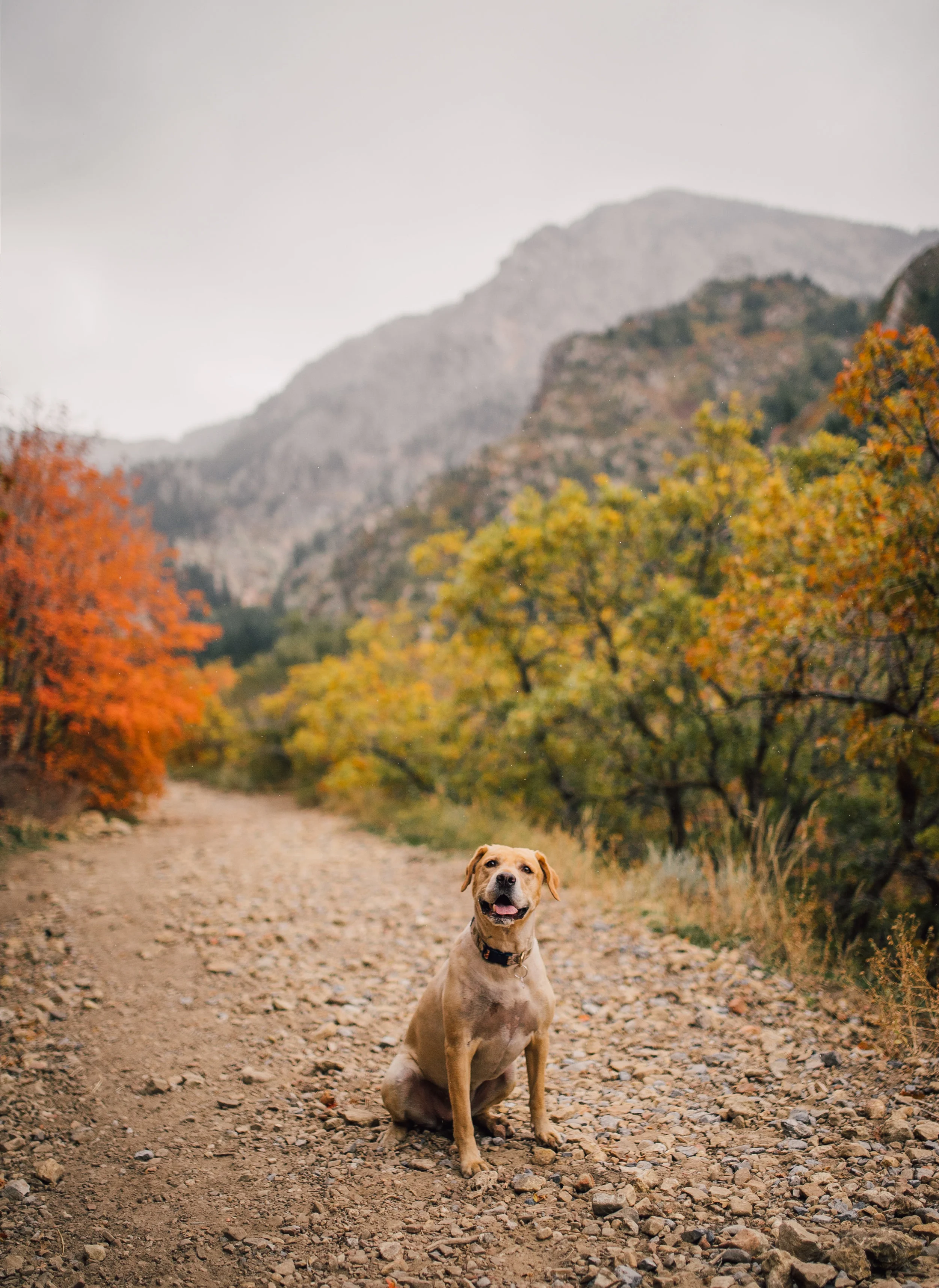 FALL_canyontrail-31.jpg