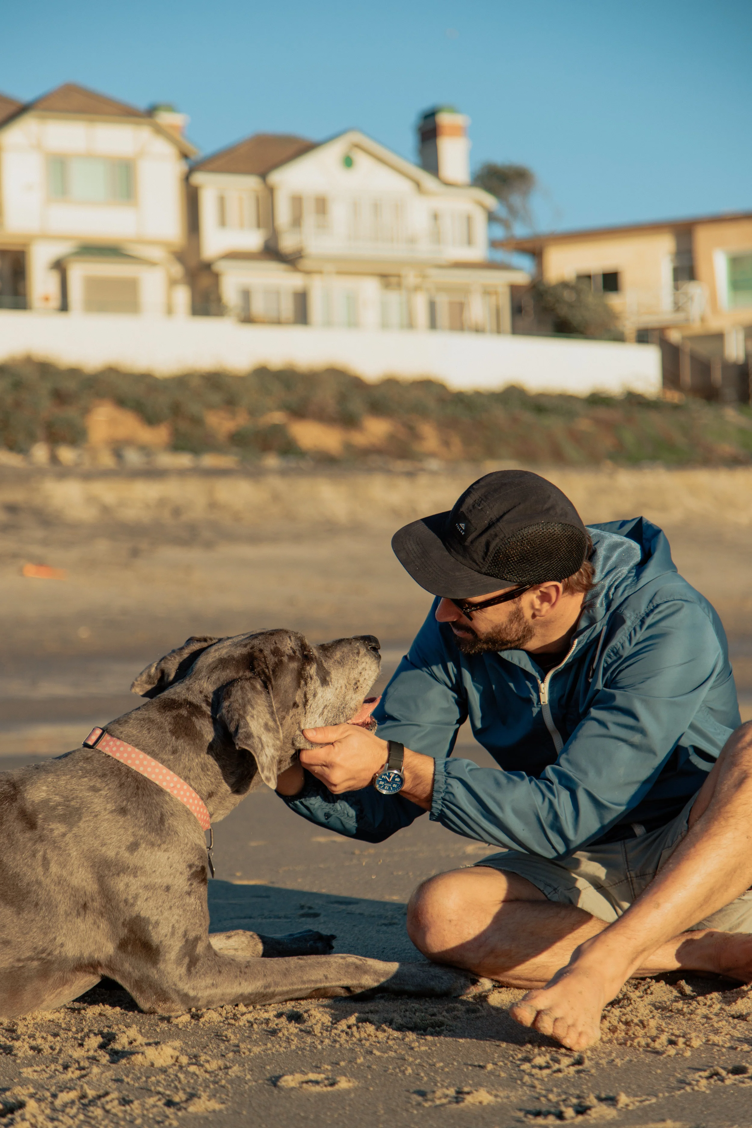 Shelby_Dog_JAN_2019-29.jpg