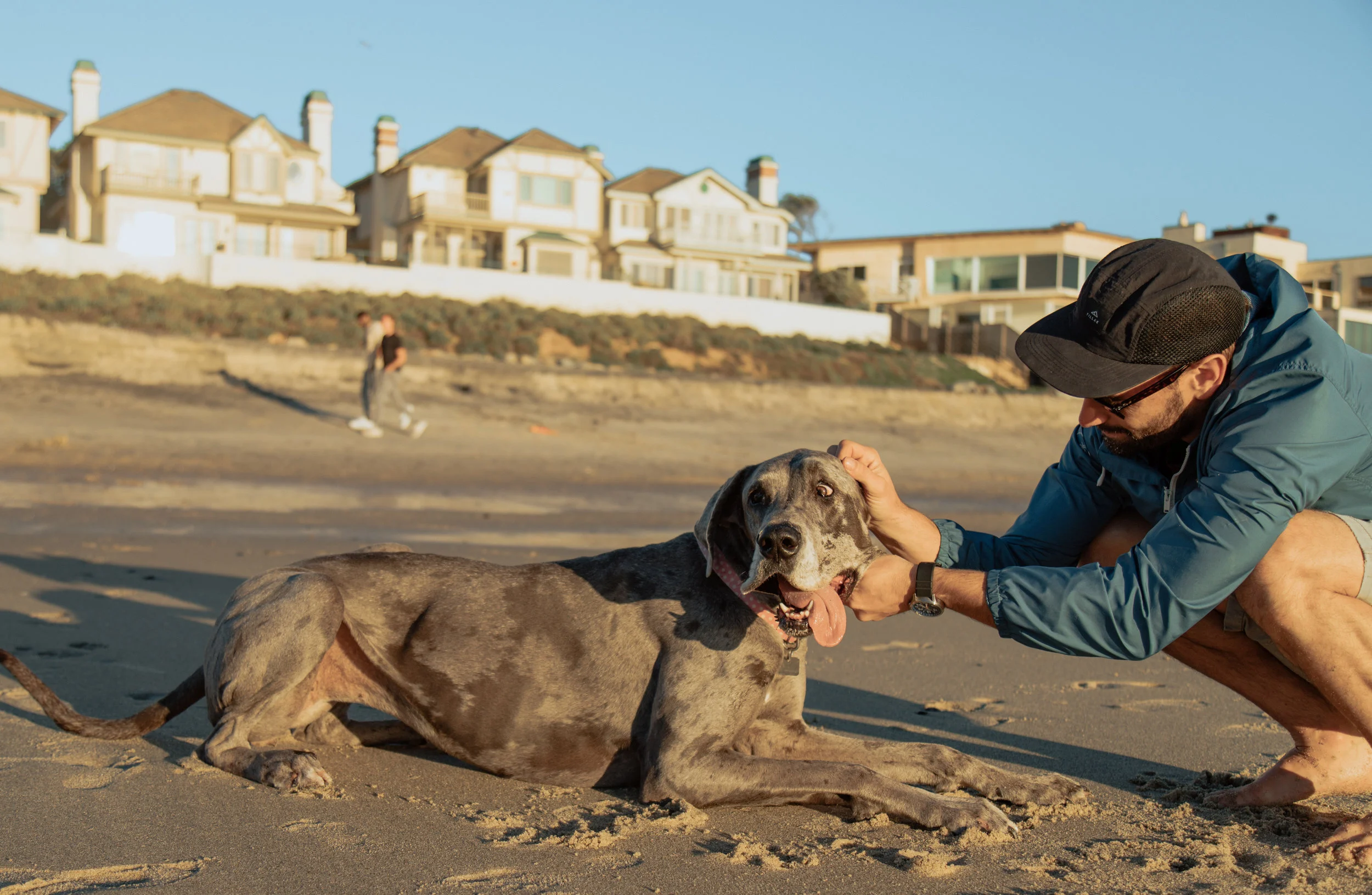 Shelby_Dog_JAN_2019-33.jpg
