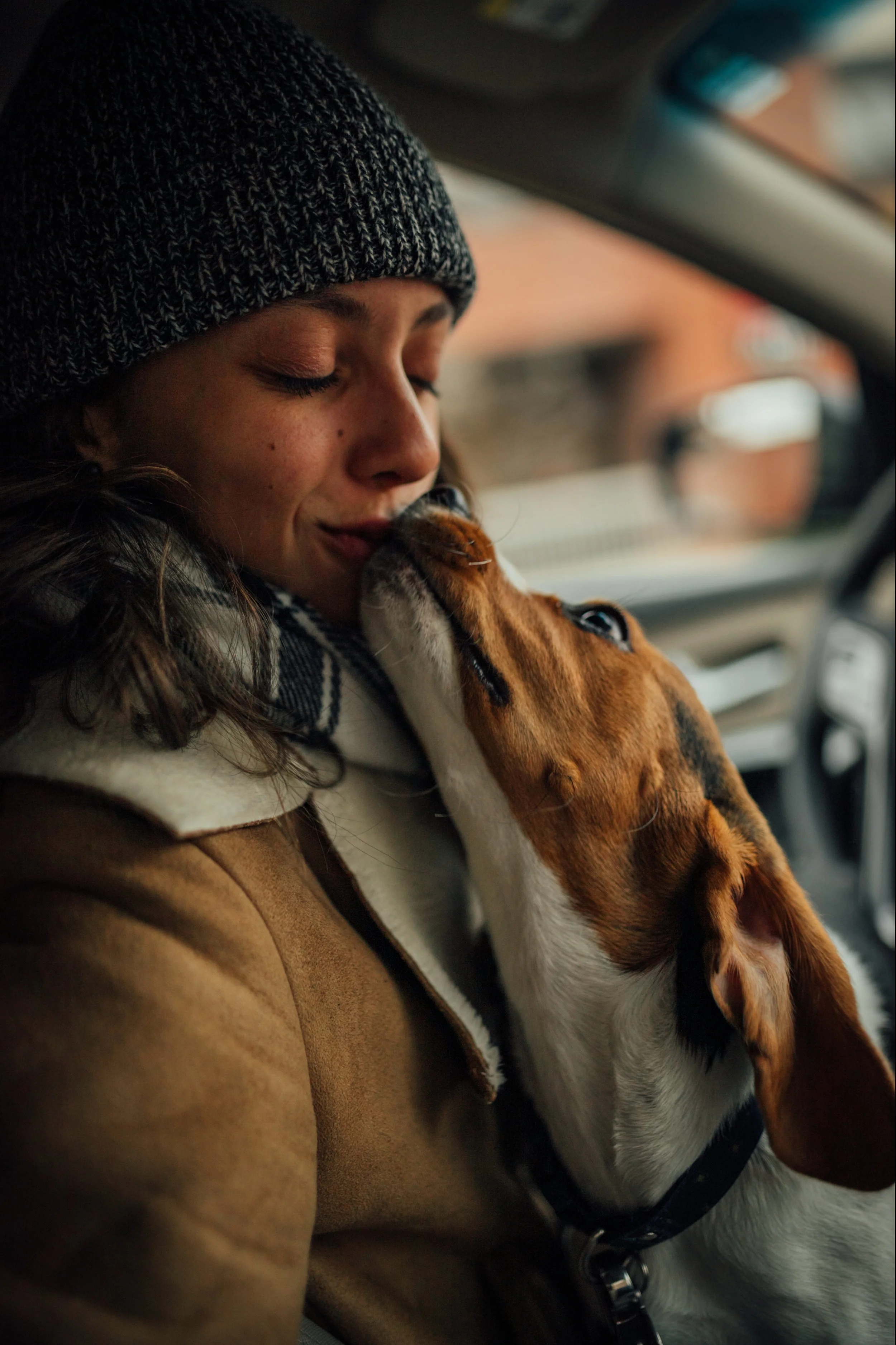 SHAKO_thepup-21.jpg
