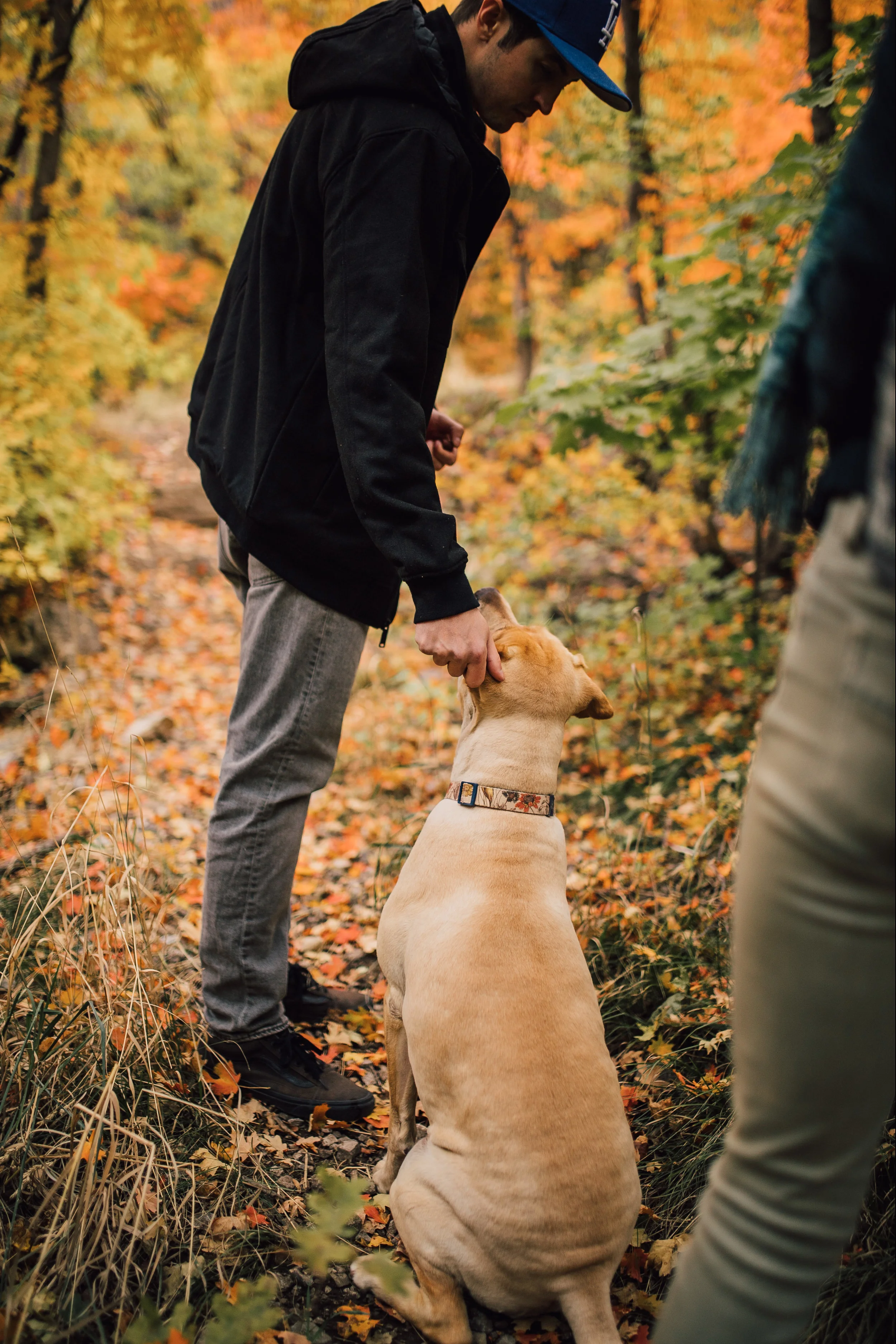 FALL_canyontrail-24.jpg