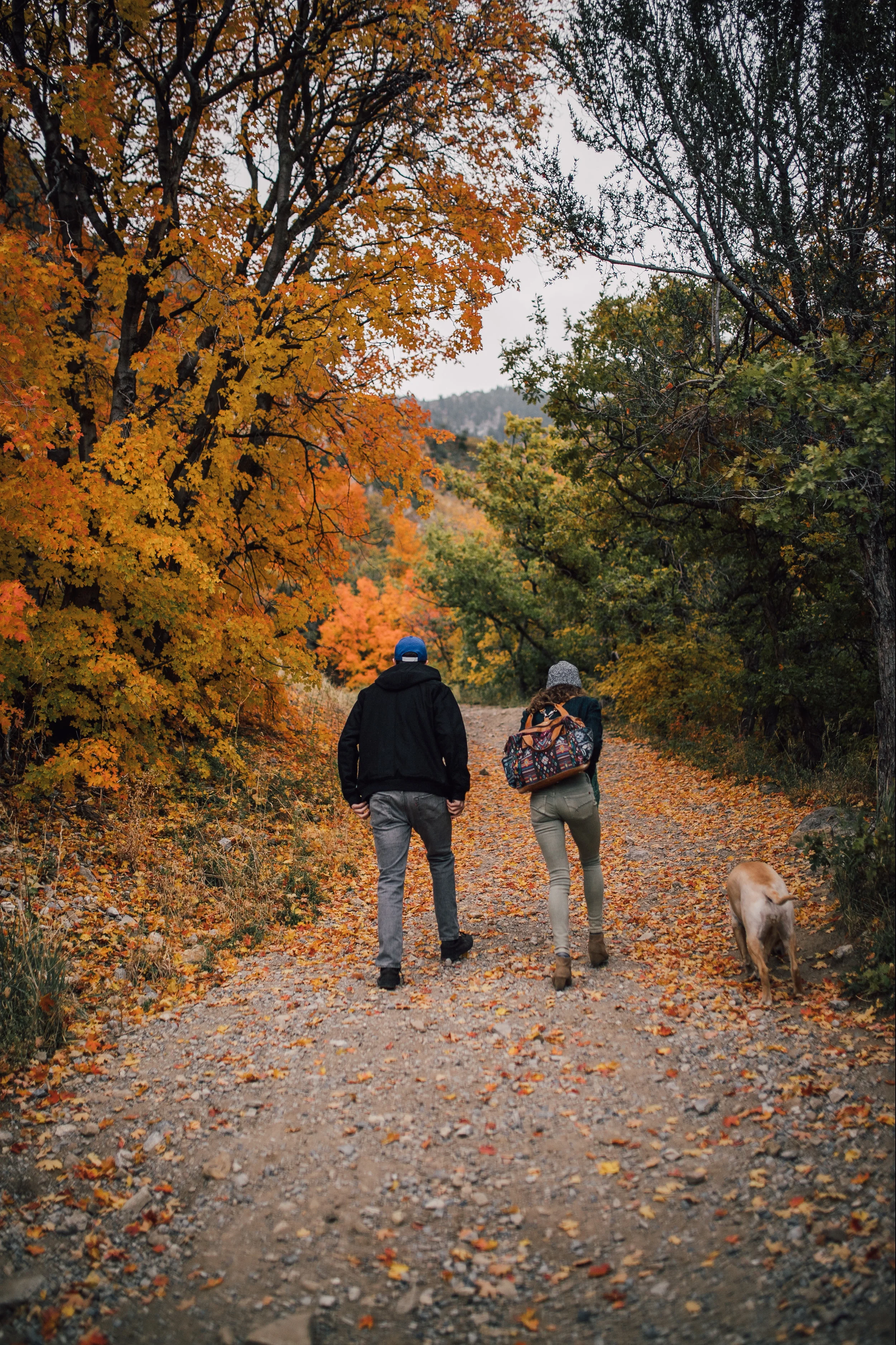 FALL_canyontrail-25.jpg