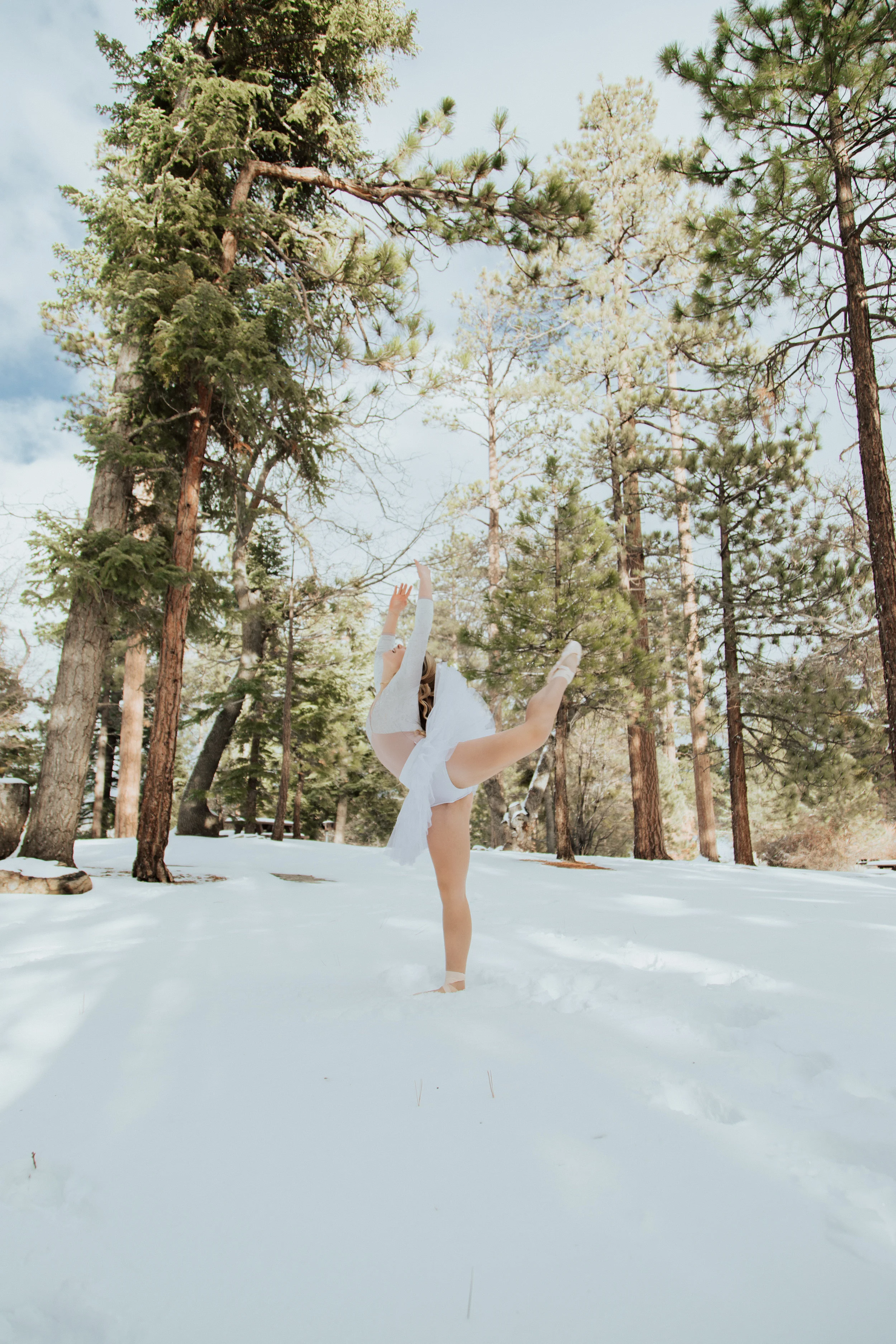Dylan_Ballet_highres_FEB_2019-15.jpg