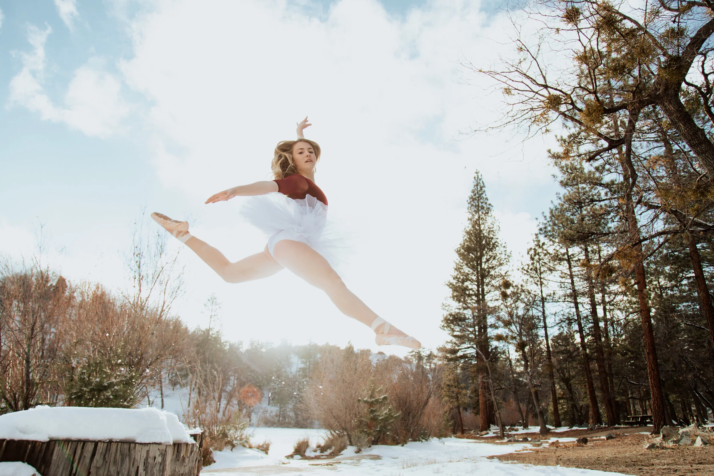 Dylan_Ballet_highres_FEB_2019-53.jpg
