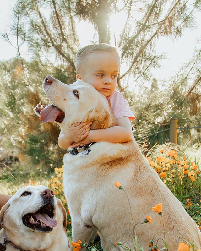 A man’s best friend but also a boy’s first friend 💛 don’t forget to give your pet some good cuddles today 😌🐶🐱 #lifewithpets