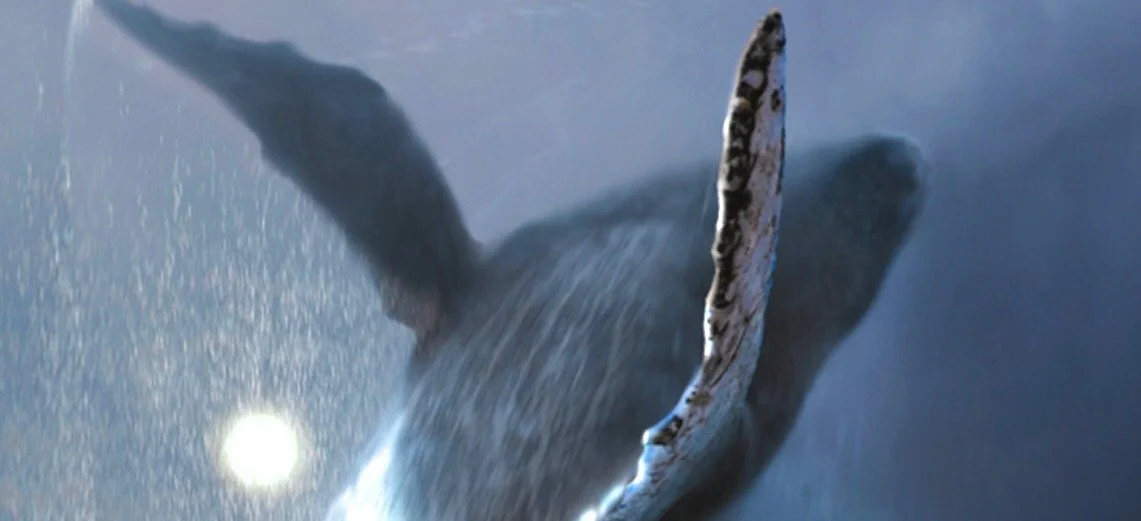  Digital Painting Of Whale Jumping From Water 