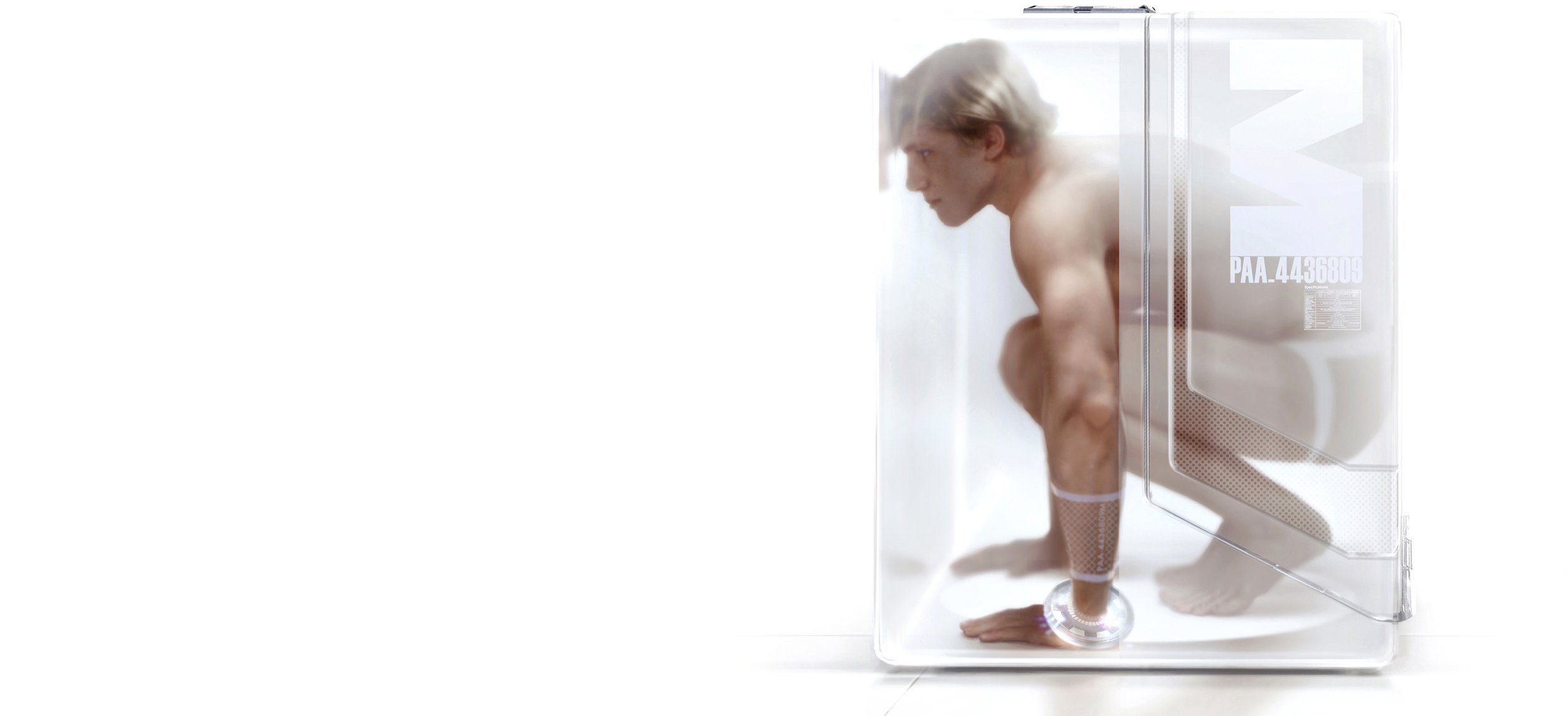 Persona Assistant Android