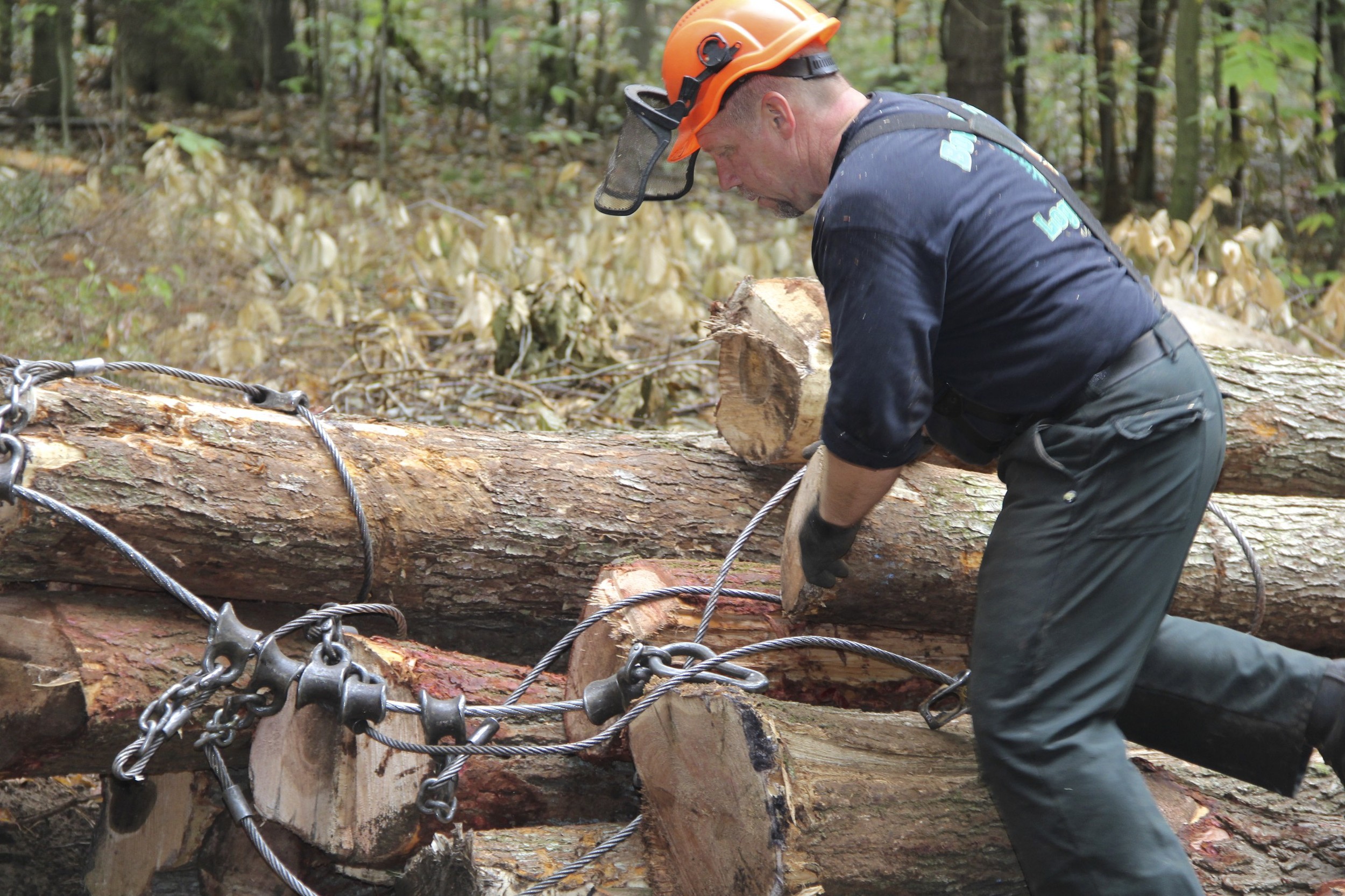 Getting ready to pull the logs out of the woods.jpg