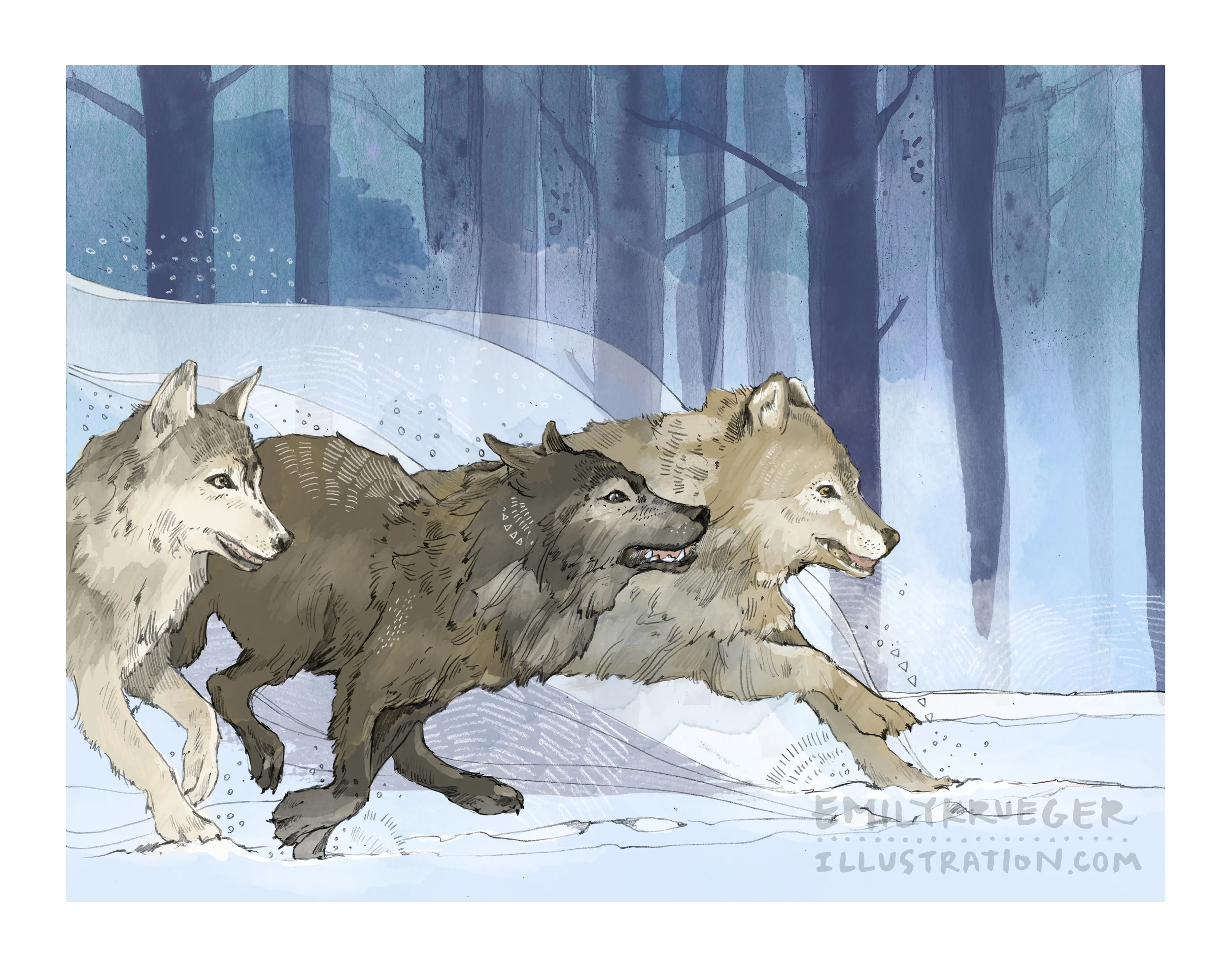 Wolves
