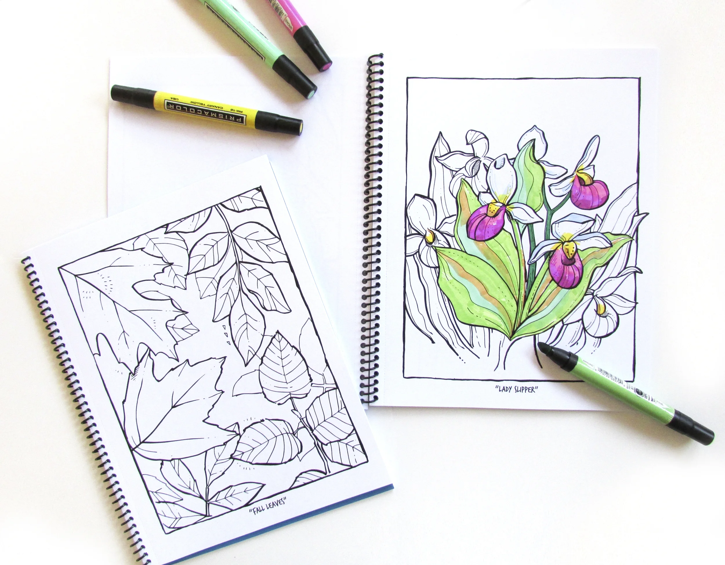 "Colorful Bemidji" Coloring Book