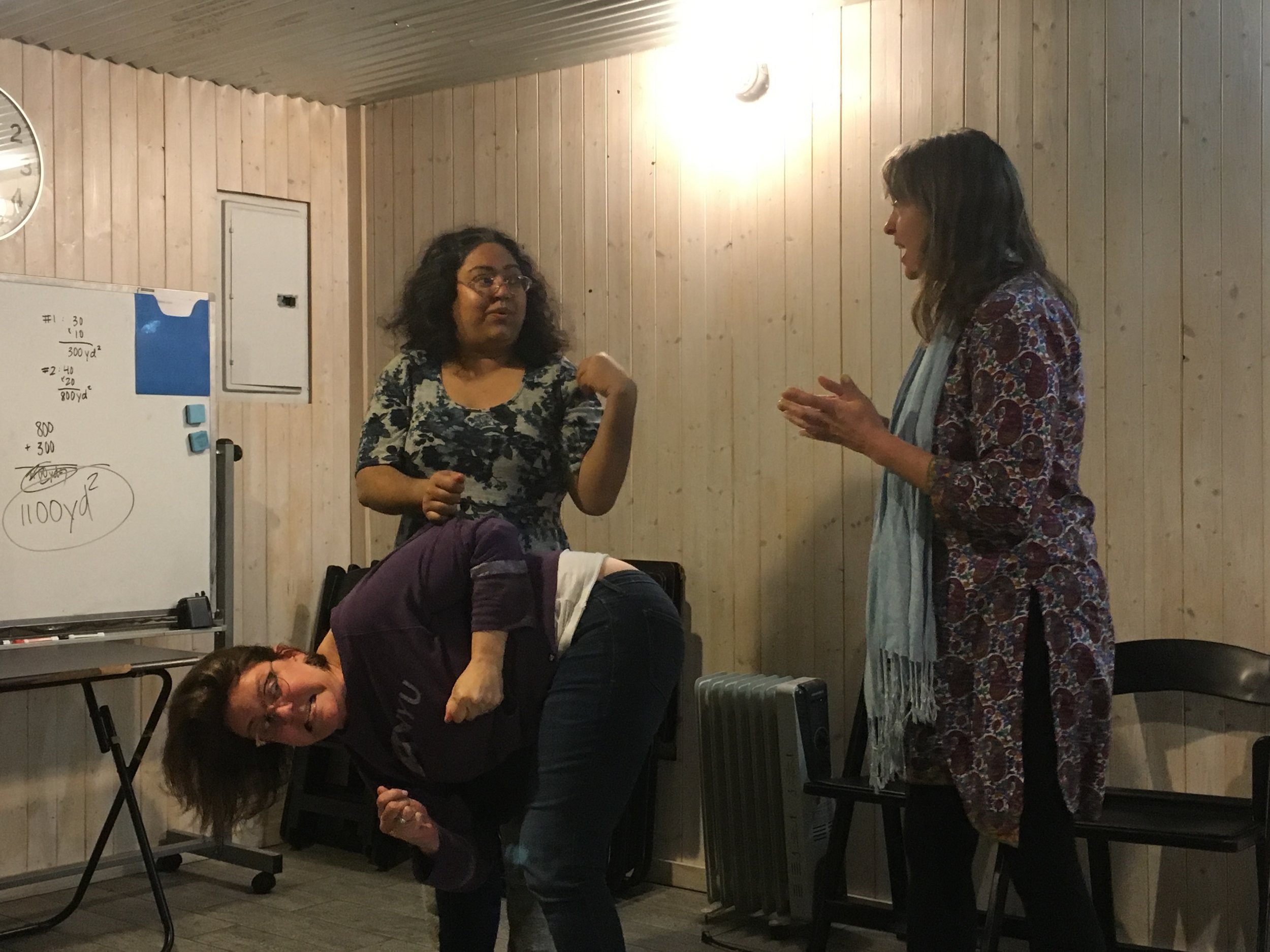 Viola, Colleen and Amy K Play Living Scenery, Winter 2019