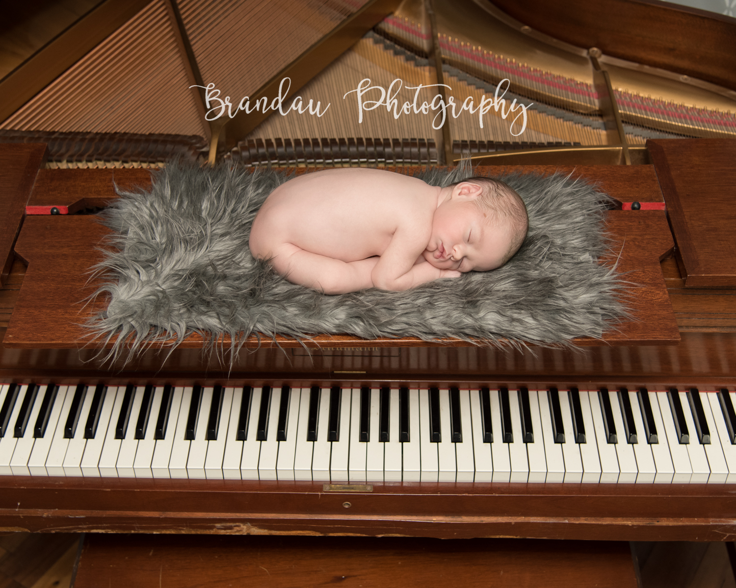 Brandau Photography - Central Iowa Newborn 050816-1.jpg