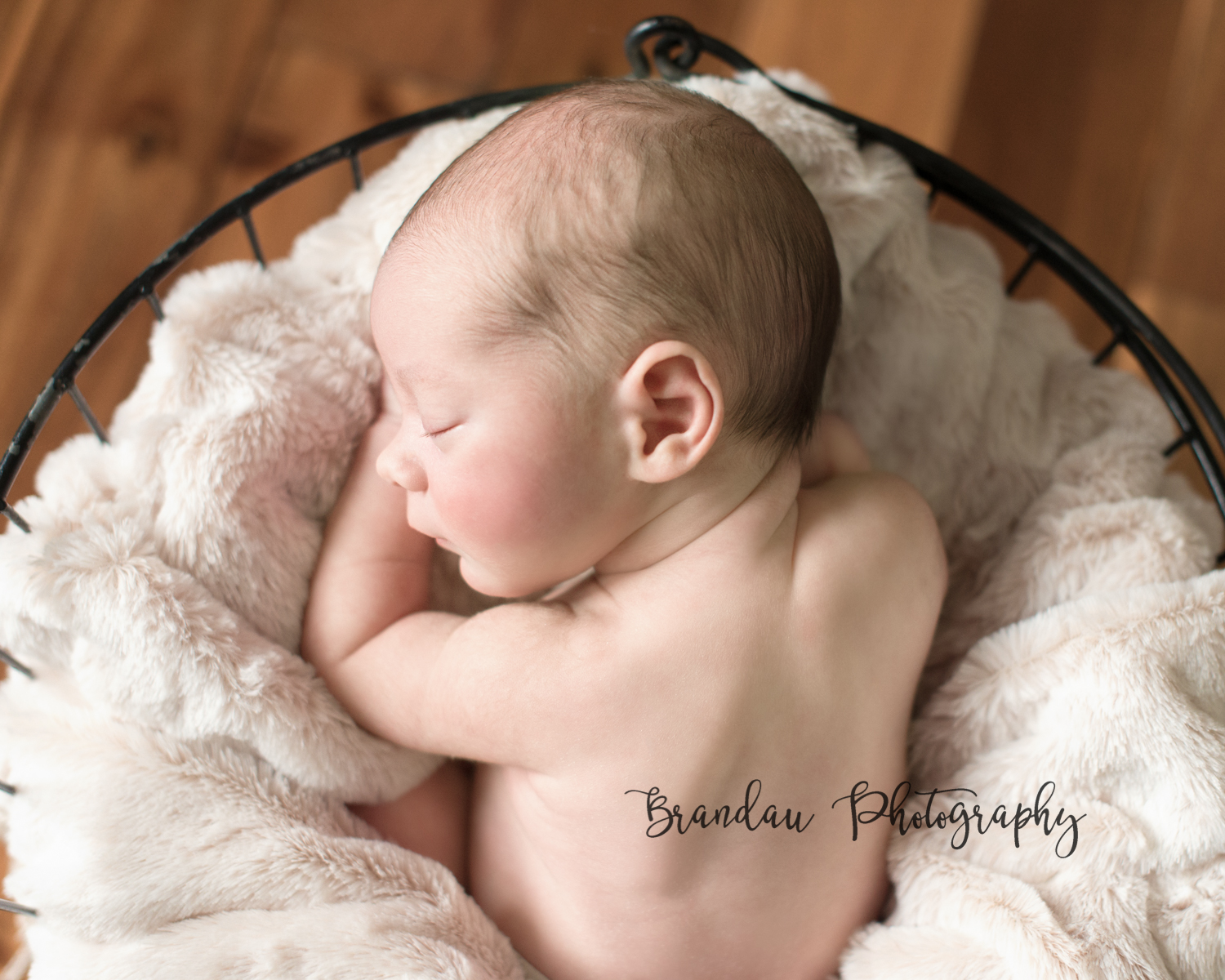 Brandau Photography - Central Iowa Newborn 050816-3.jpg