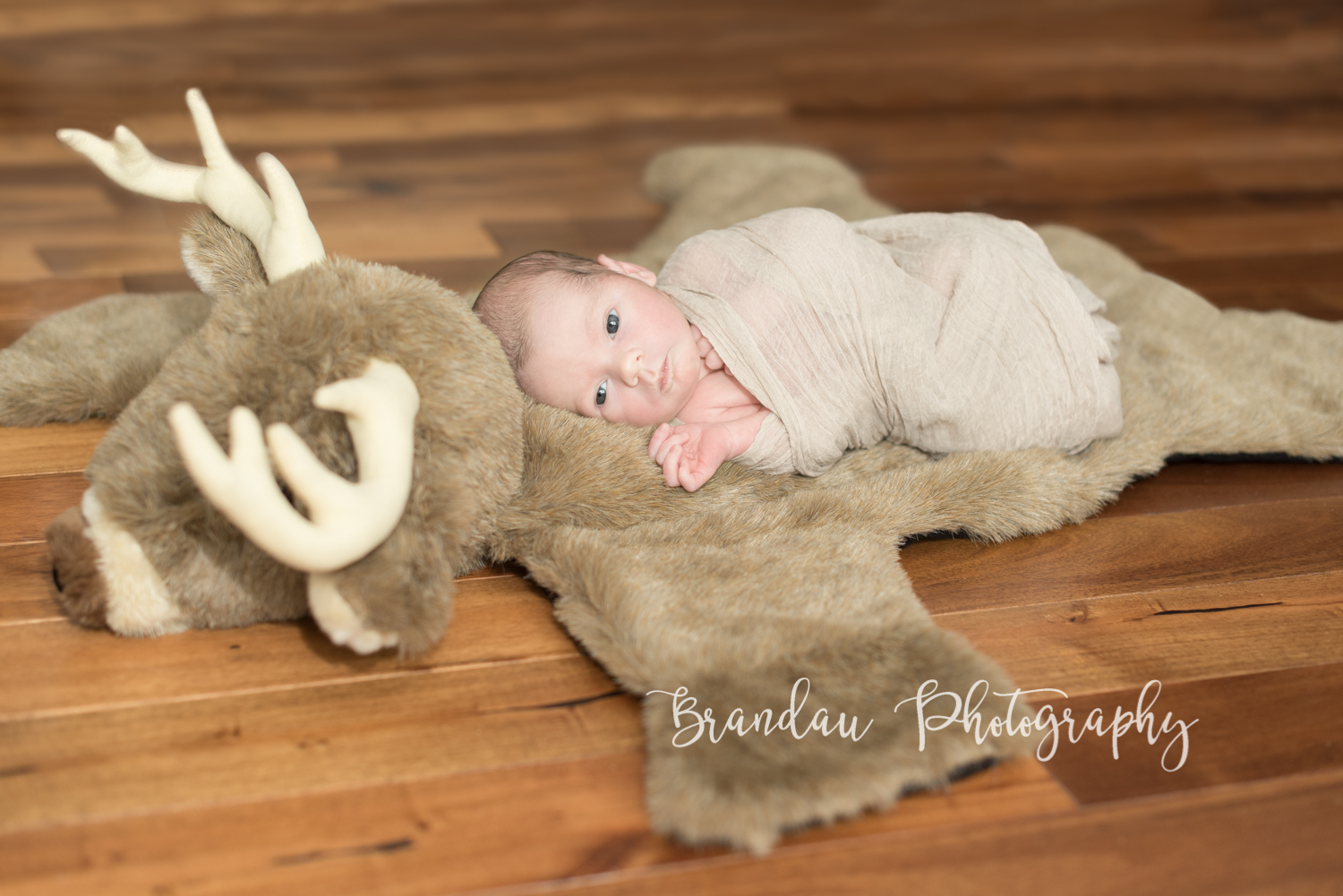 Brandau Photography - Central Iowa Newborn 050816-9.jpg