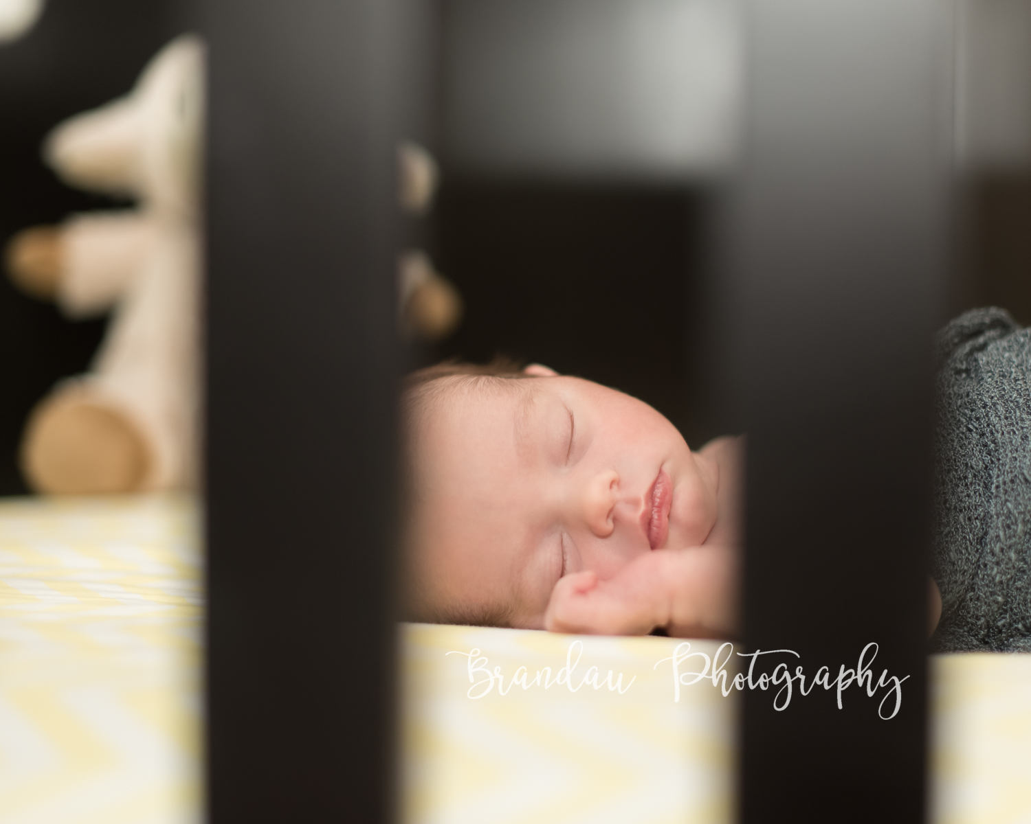 Brandau Photography - Central Iowa Newborn 050816-20.jpg