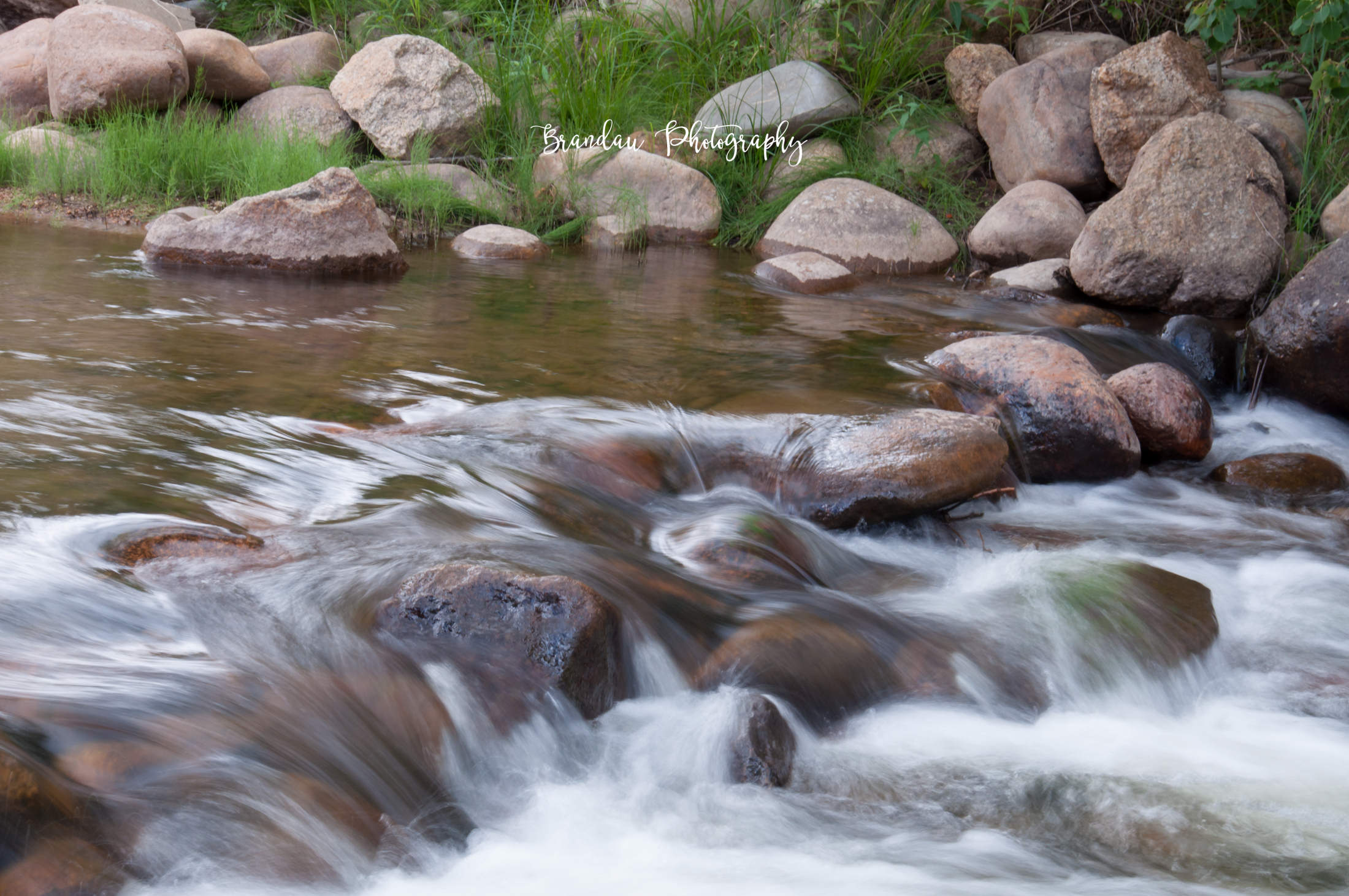 Brandau Photography - Fall River - Estes Park Colorada