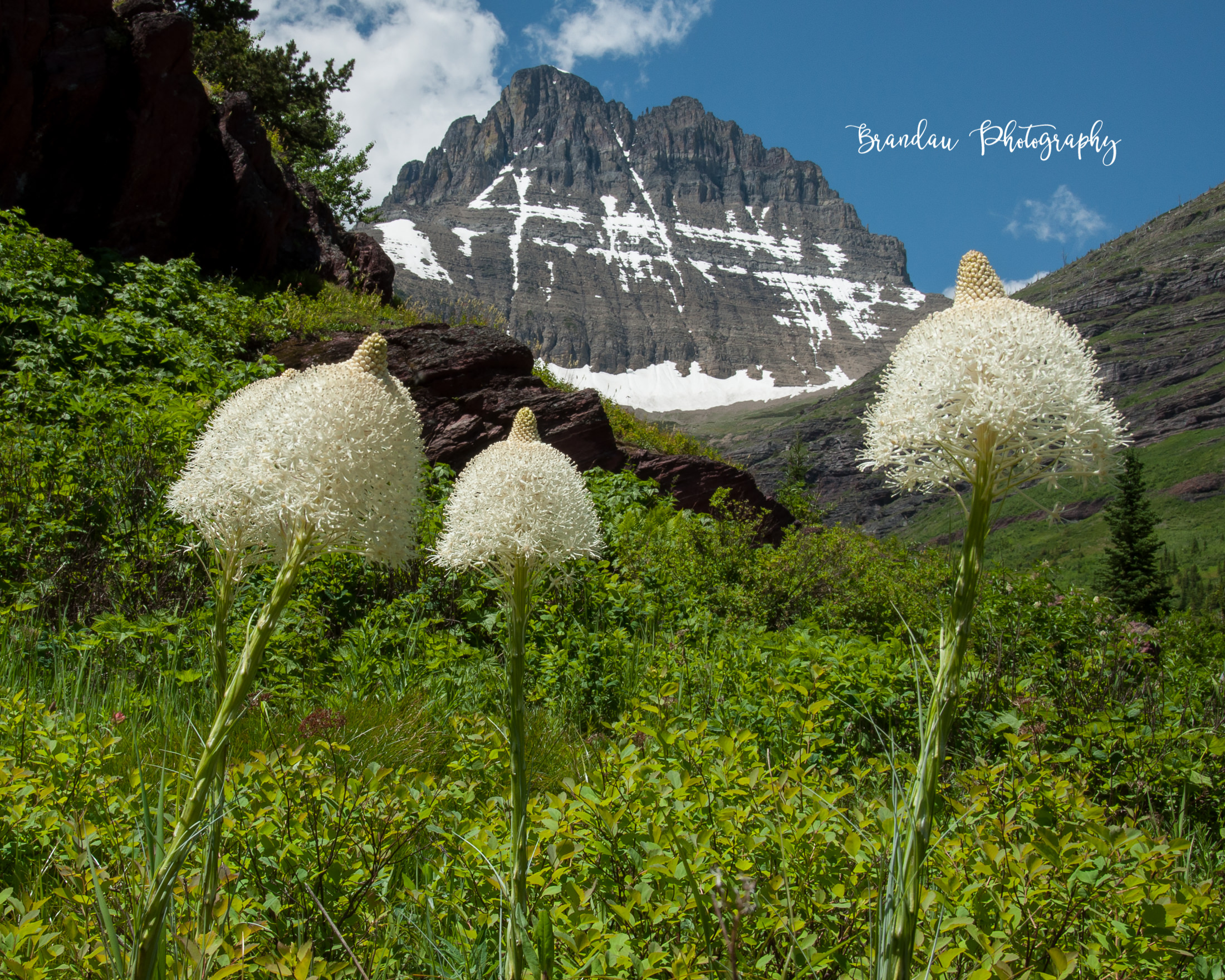 Brandau Photography - Glacier National Park