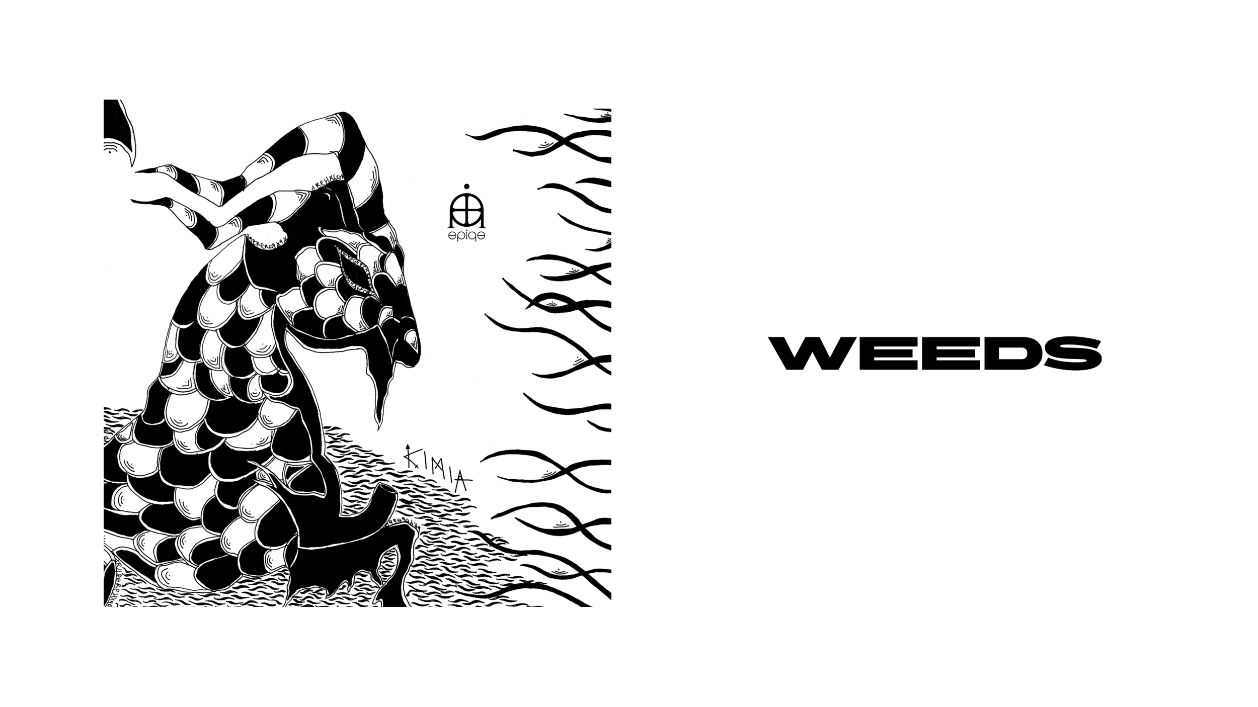 EPiQE - WEEDS (Official Audio)