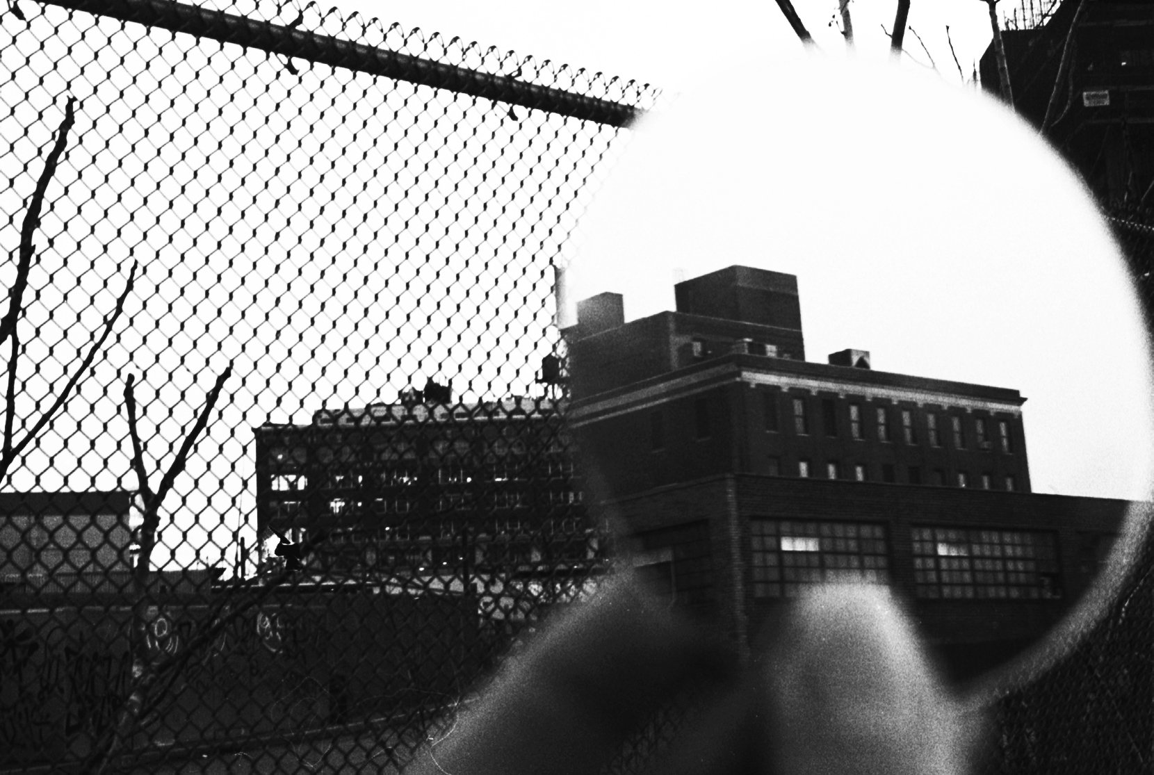 NYC_6.jpg