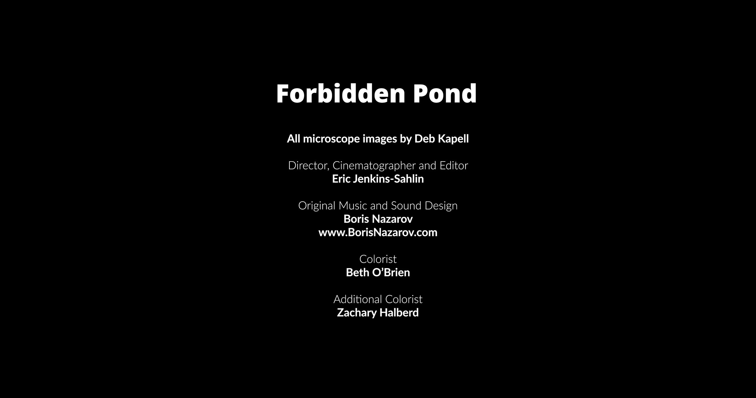 2022.02.17 - Deb Kapell - Forbidden pond Copy 26.00_13_08_04.Still008.jpg