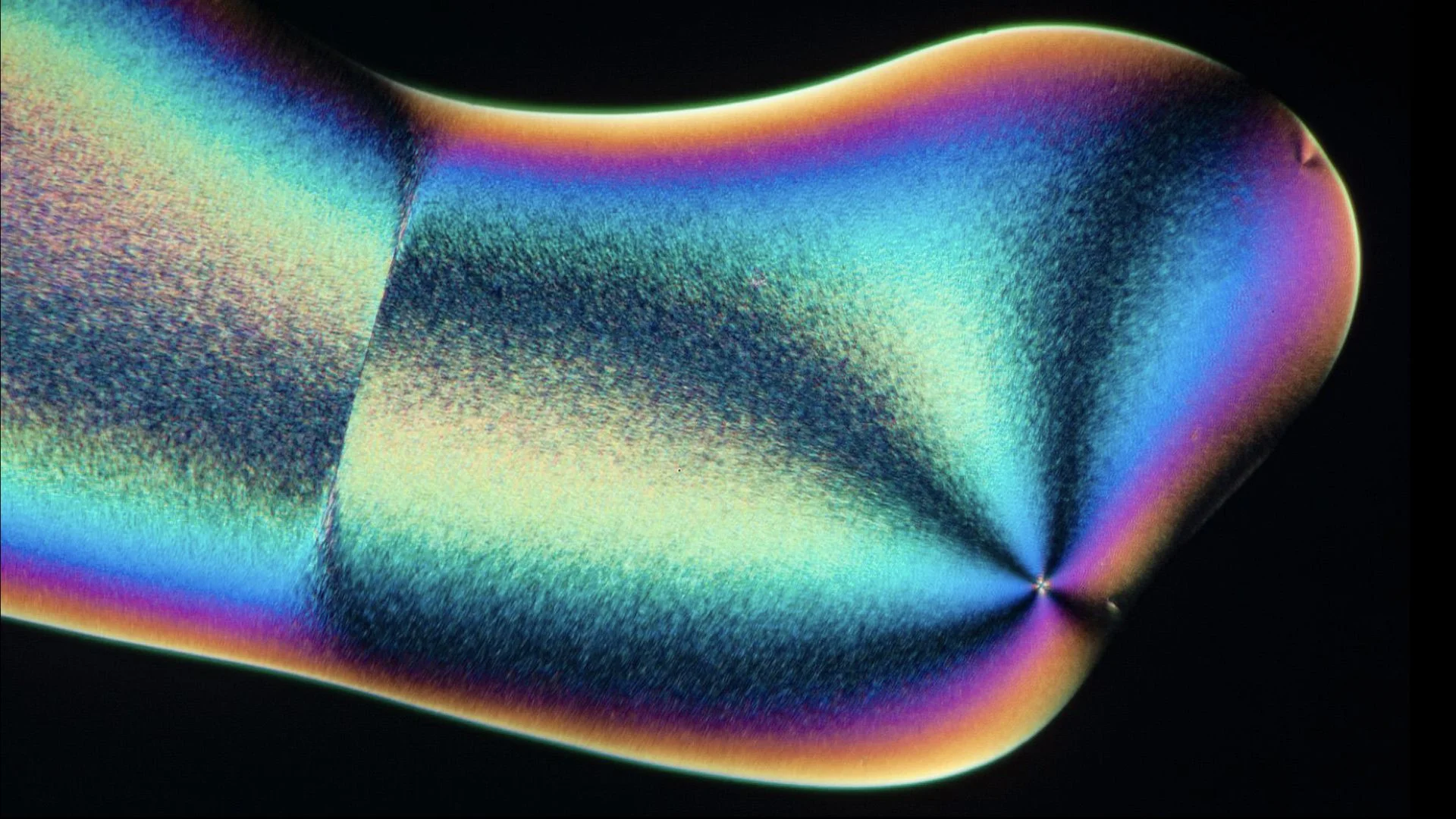 Forbidden Pond - Image #1 - Malic Acid.jpeg