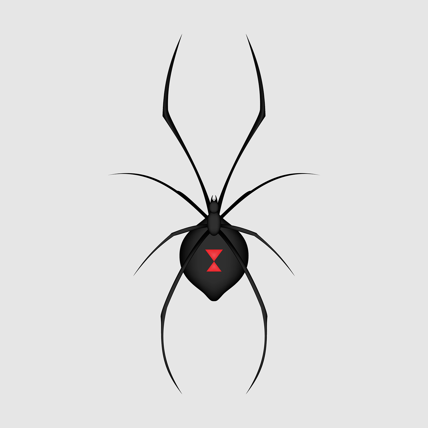Blackwidow_2d.png