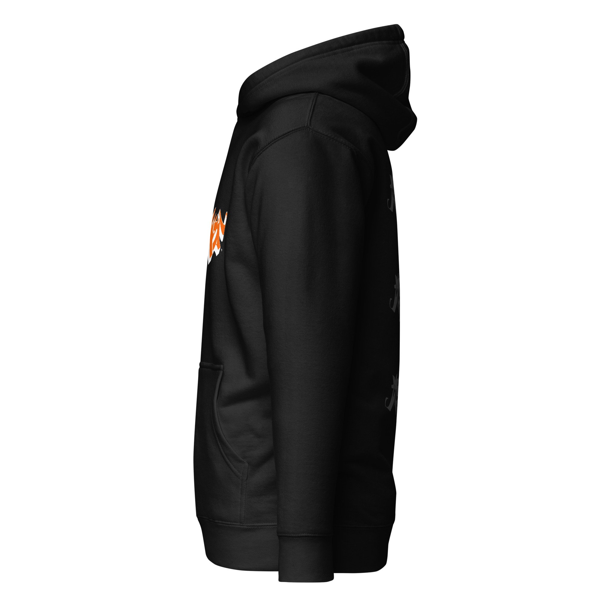 unisex-premium-hoodie-black-left-685b546ae3a6c.jpg