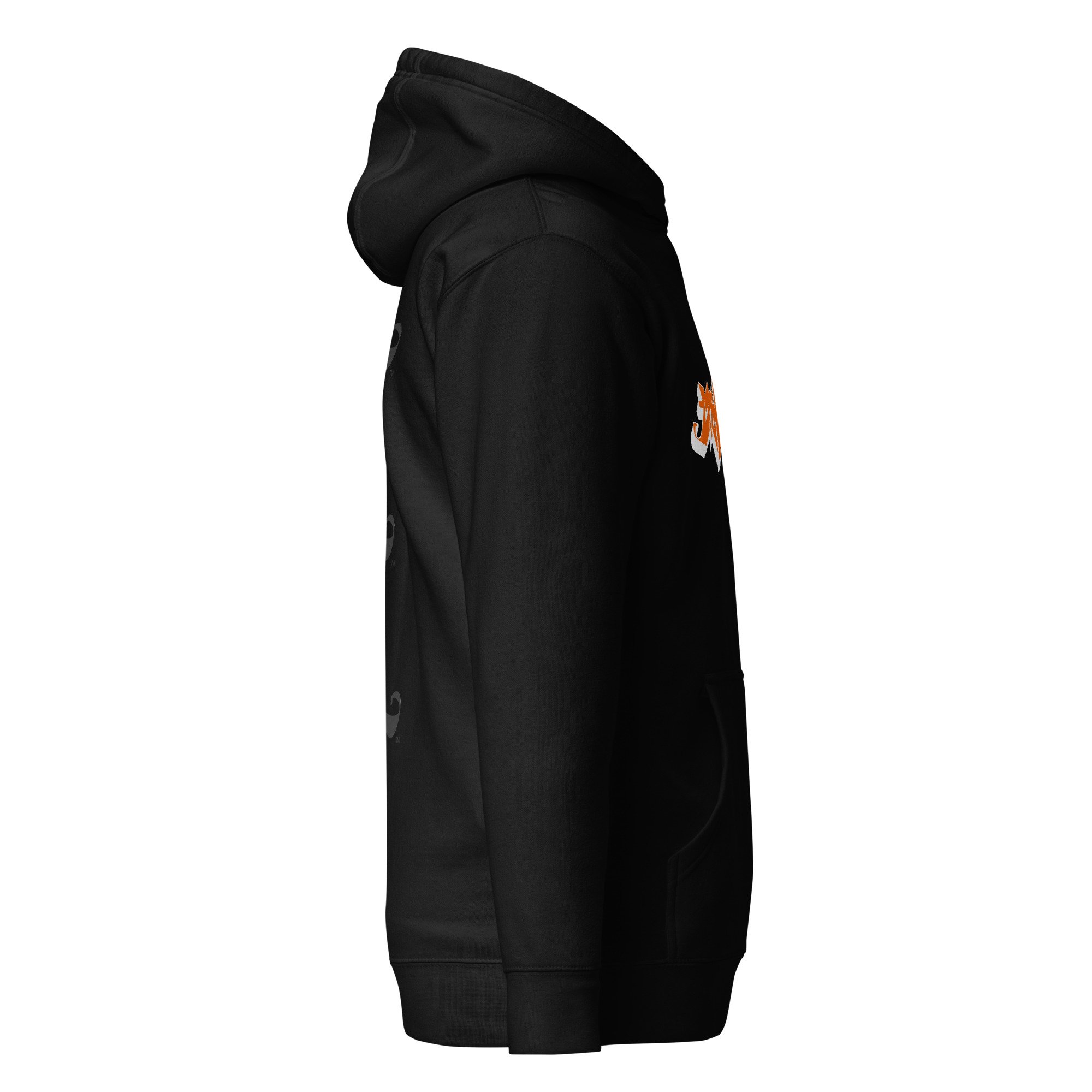 unisex-premium-hoodie-black-right-685b546ae4353.jpg