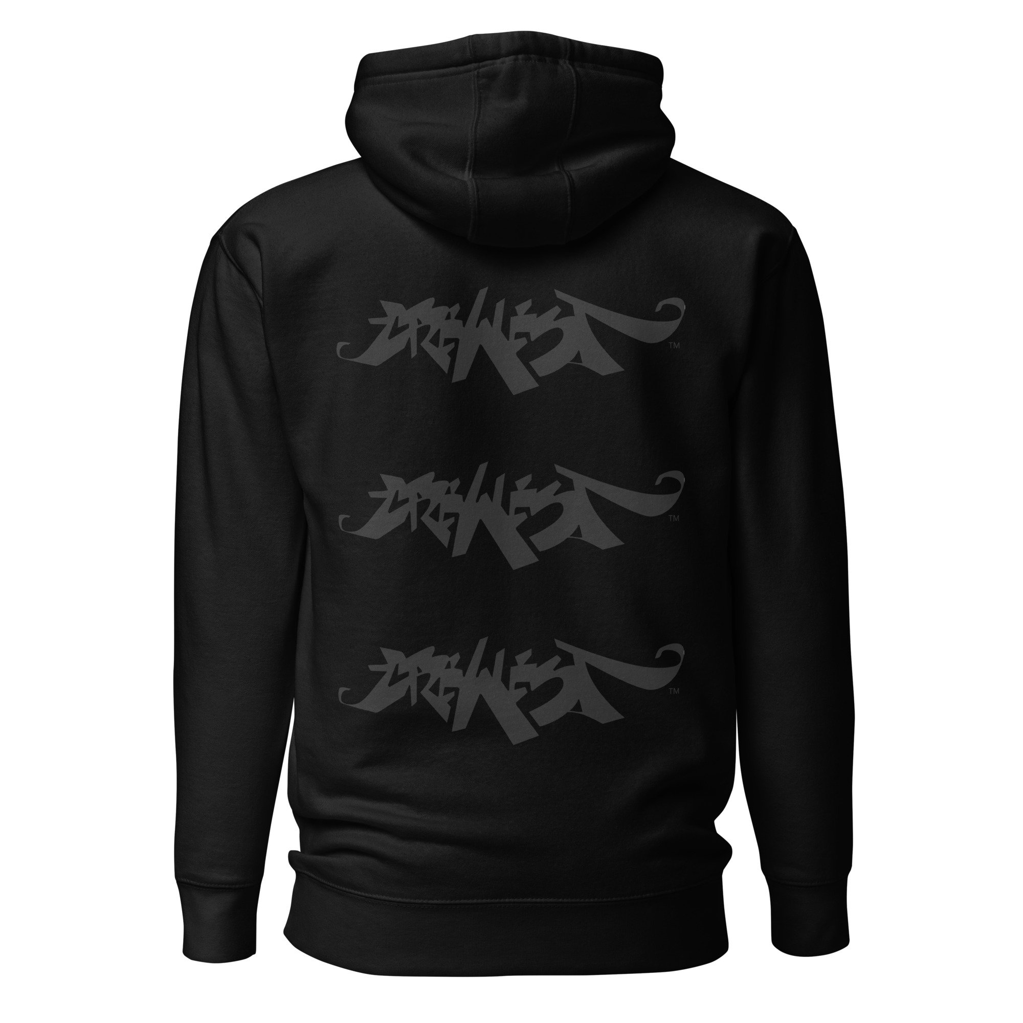 unisex-premium-hoodie-black-back-685b546ae4af3.jpg