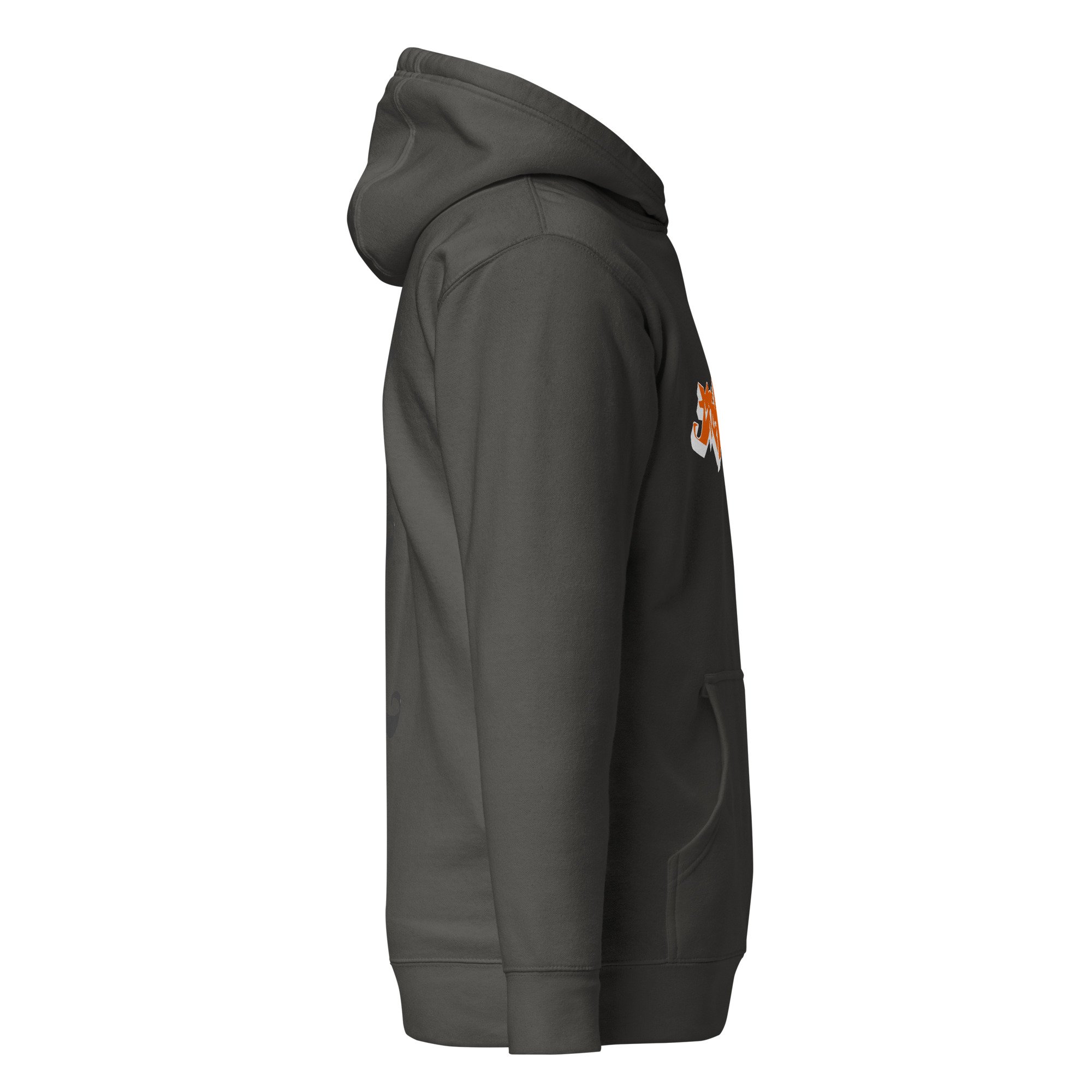 unisex-premium-hoodie-vintage-black-right-685b546b18390.jpg