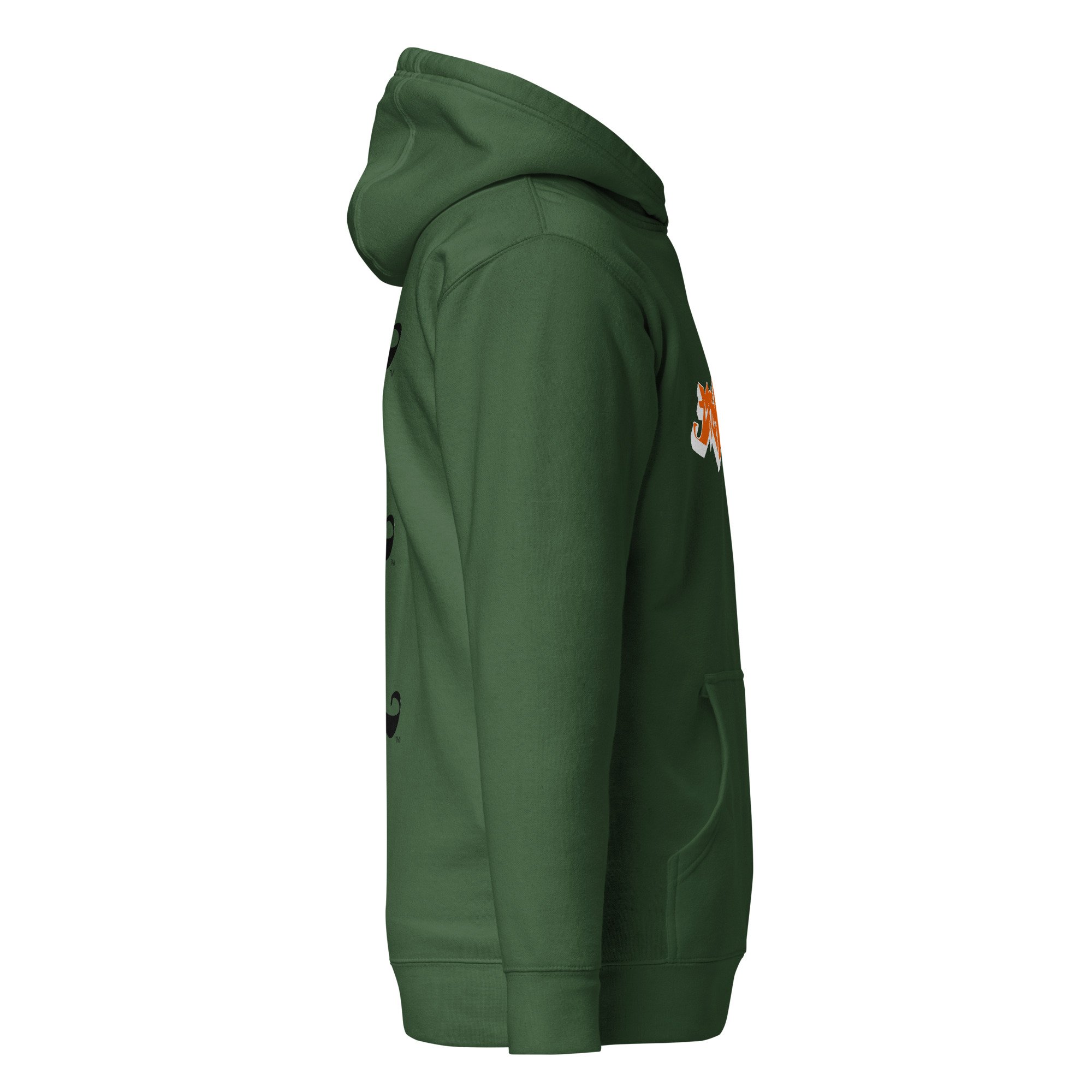 unisex-premium-hoodie-forest-green-right-685b546b41e51.jpg