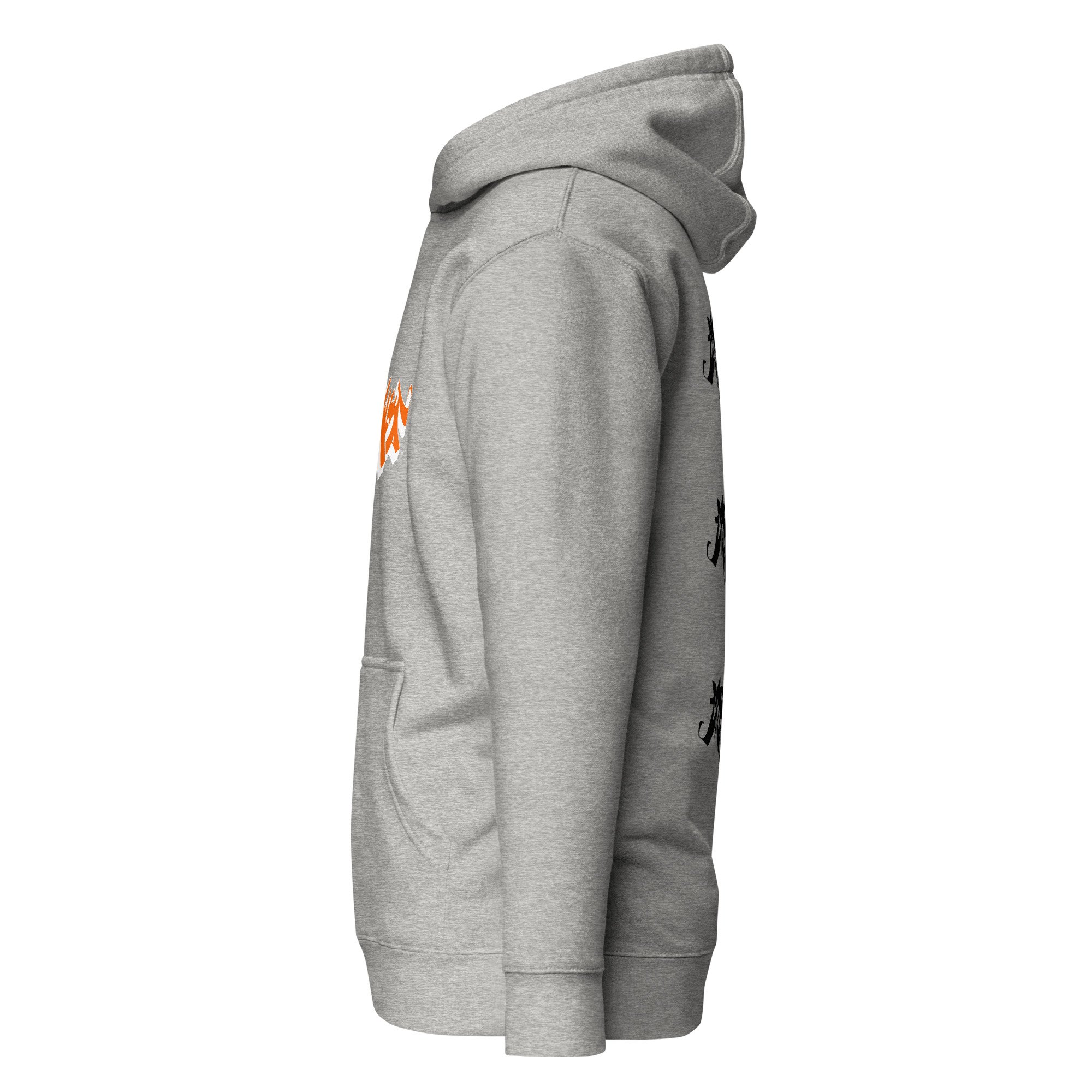 unisex-premium-hoodie-carbon-grey-left-685b546b53639.jpg